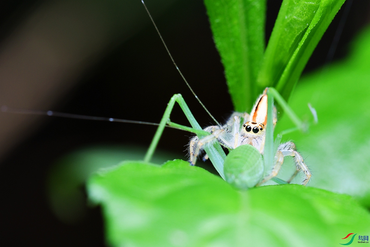 DSC_0328_NW.jpg