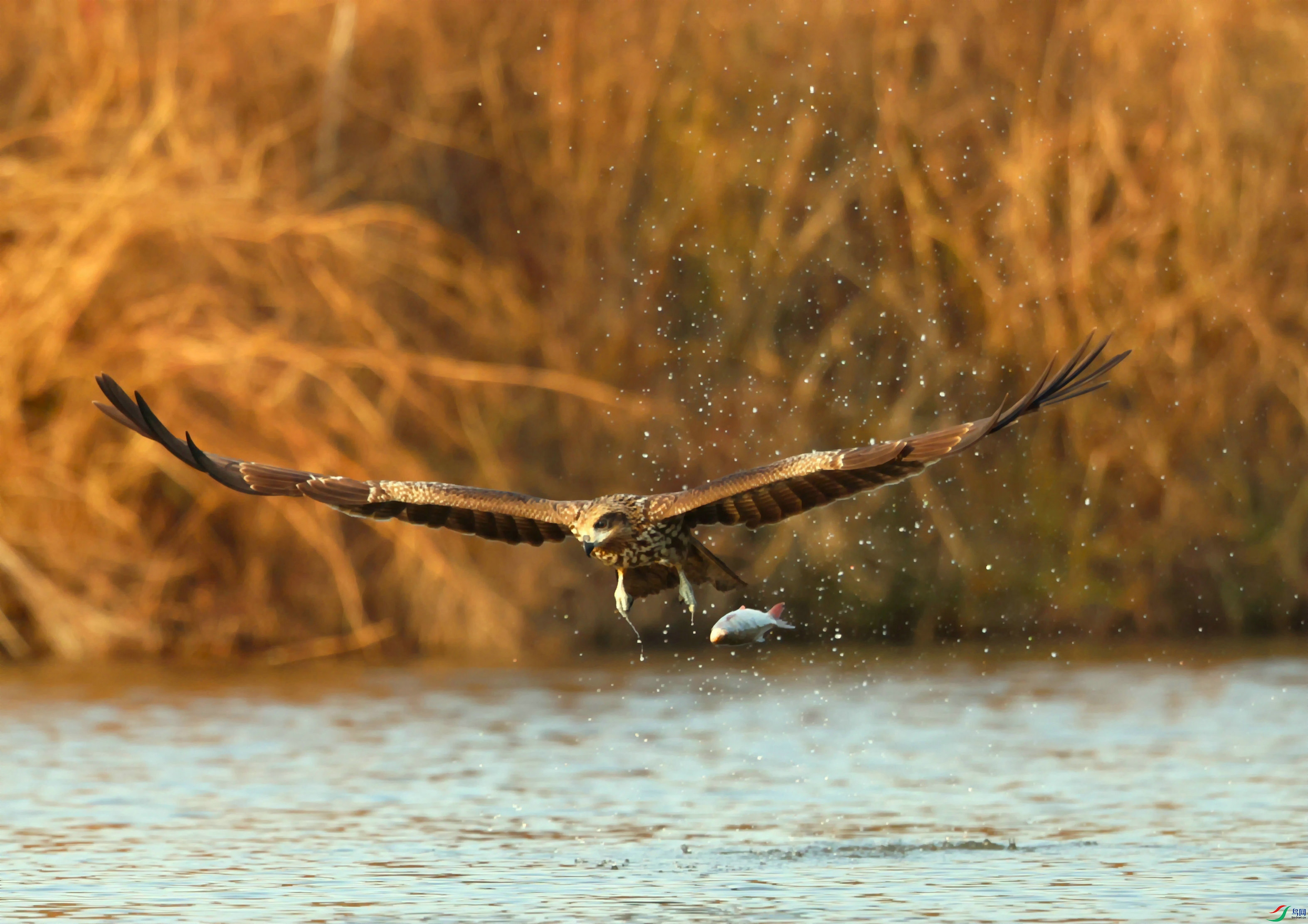 �ڶ�� 2023-10-08 �����찲 ����ƺ 3A3102-01.jpg