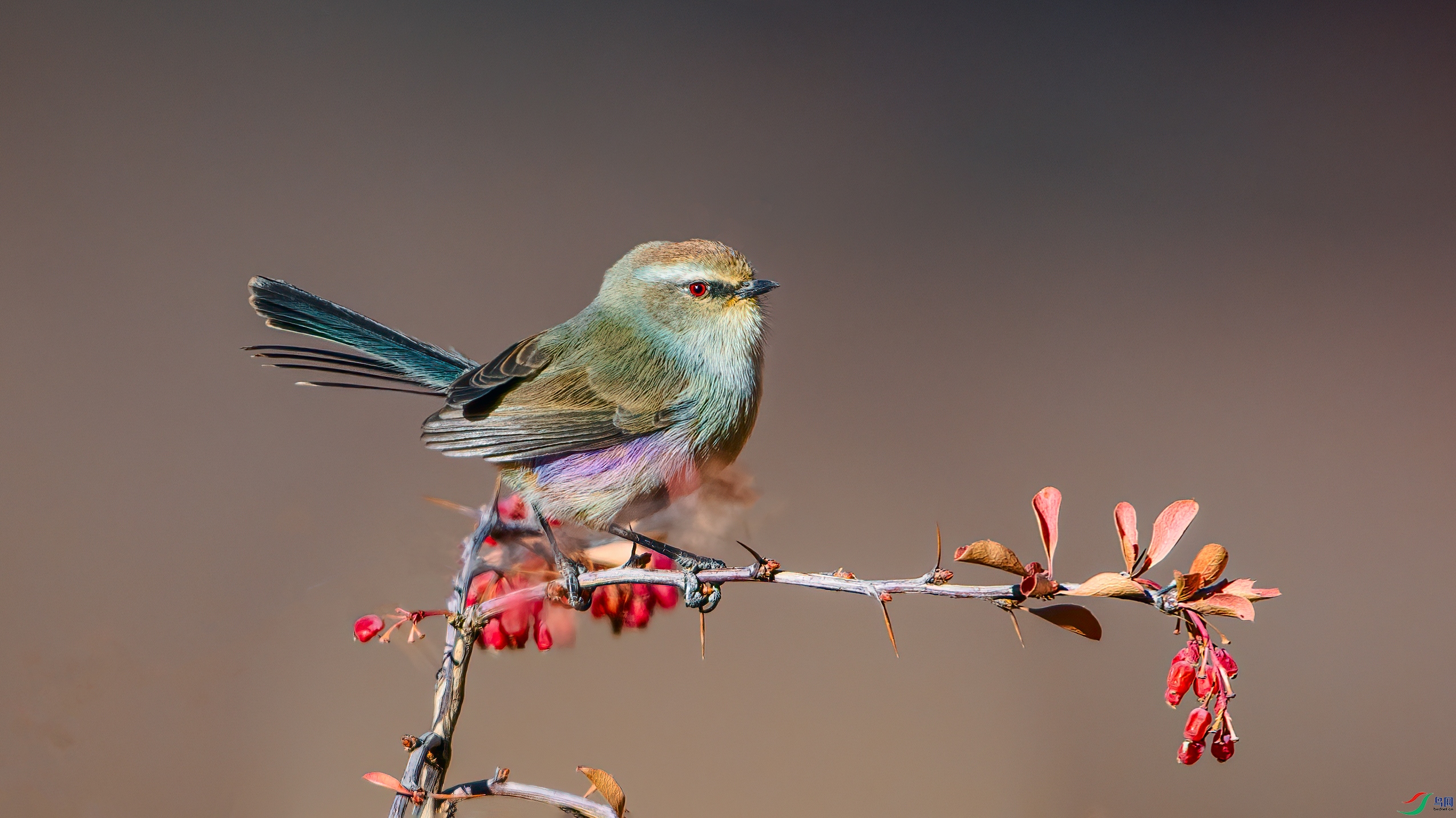 _DSC4051 ����.jpg