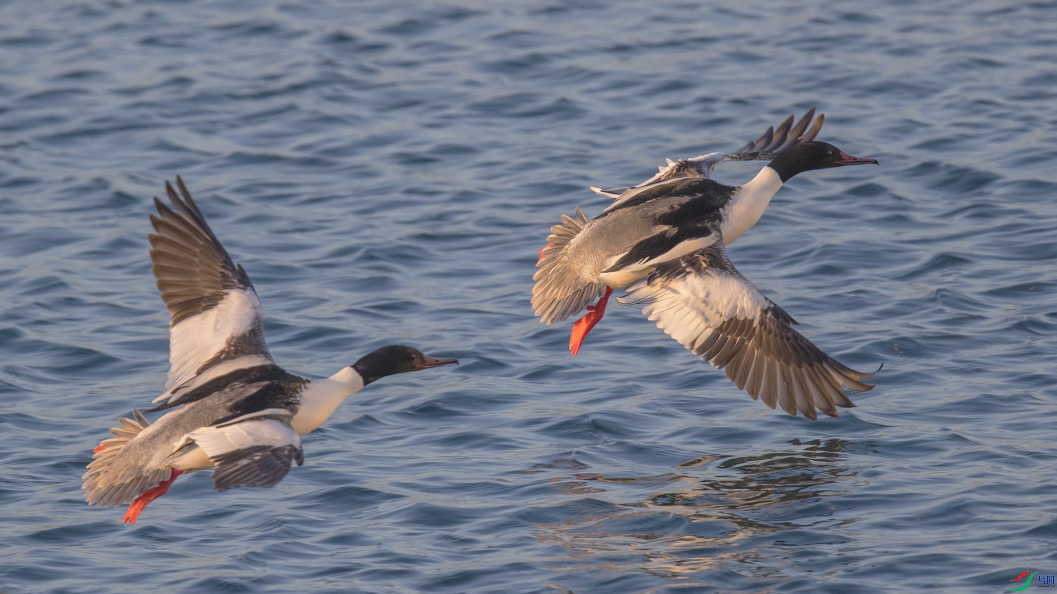 _90I1981 ���� 2.jpg