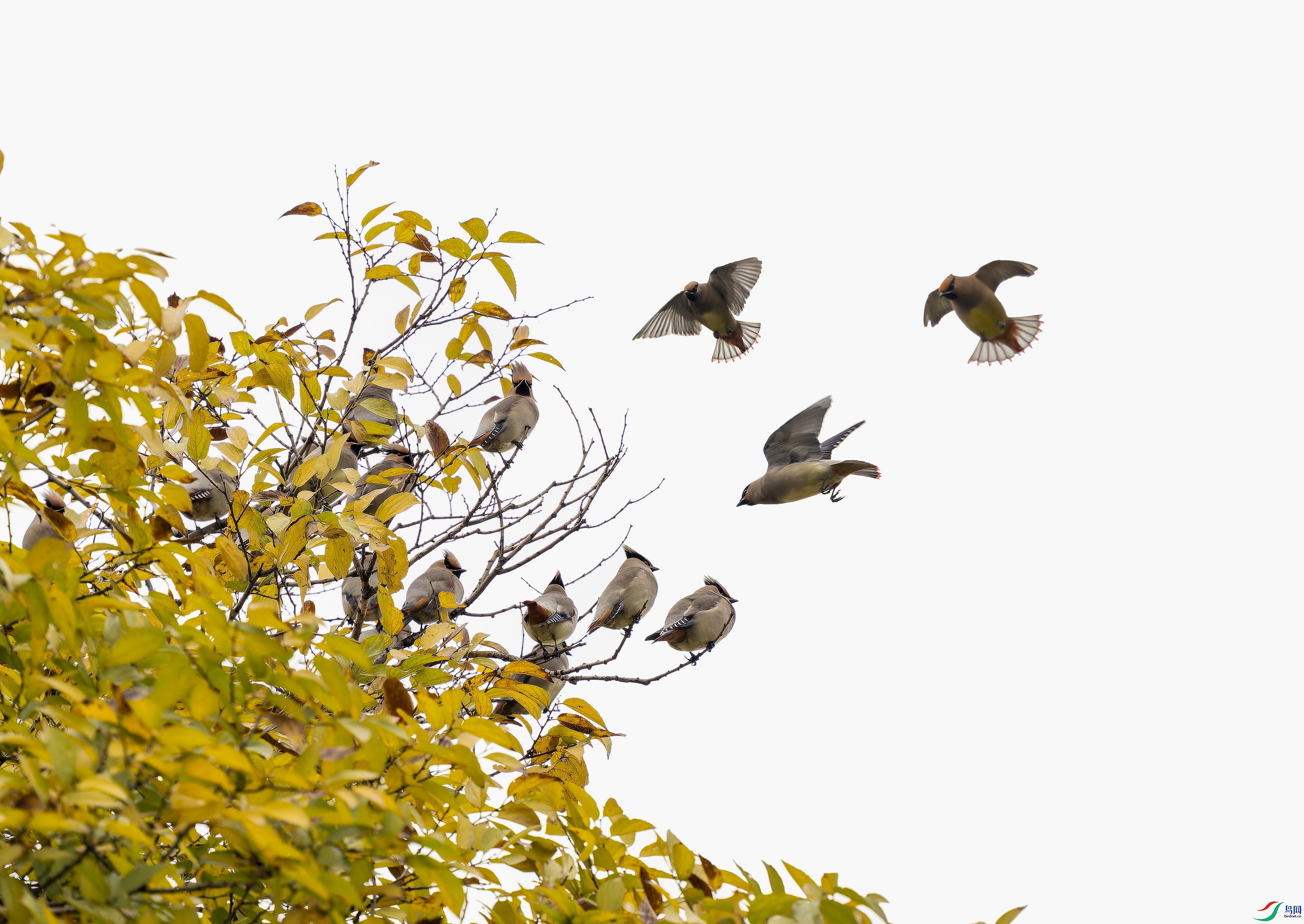 С̫ƽ�� (50).jpg