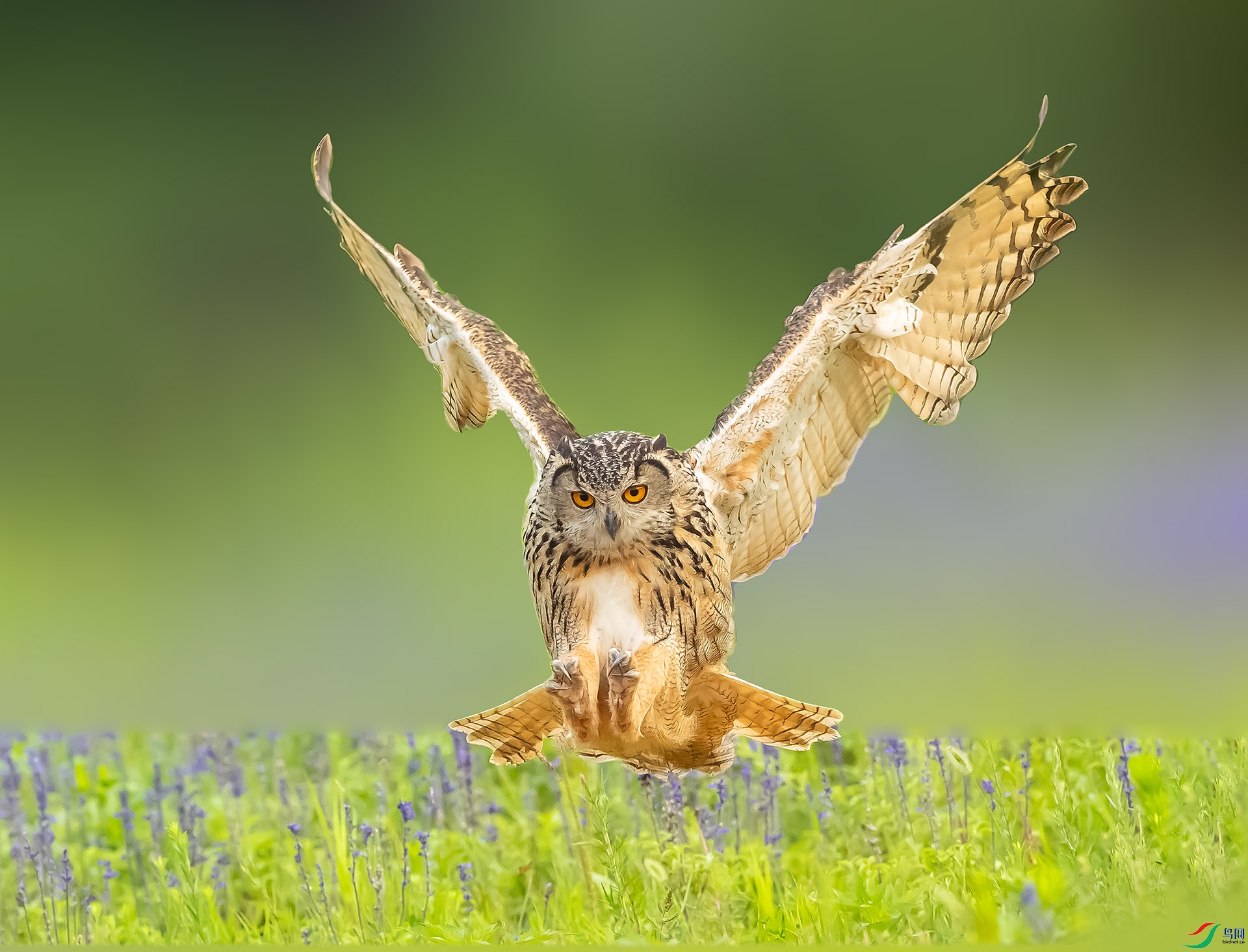 019A894865 ����.jpg