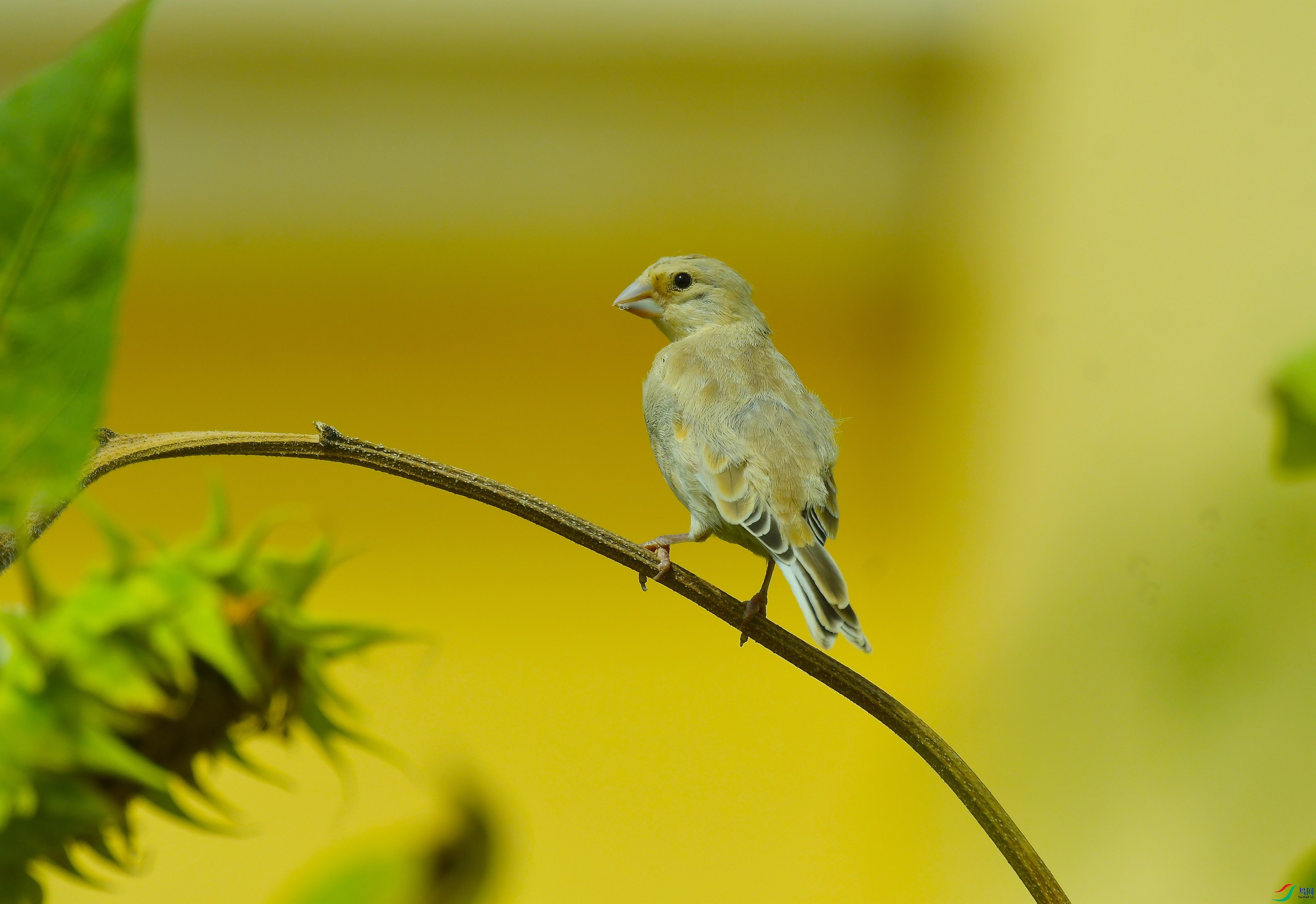 DSC_3793.JPG