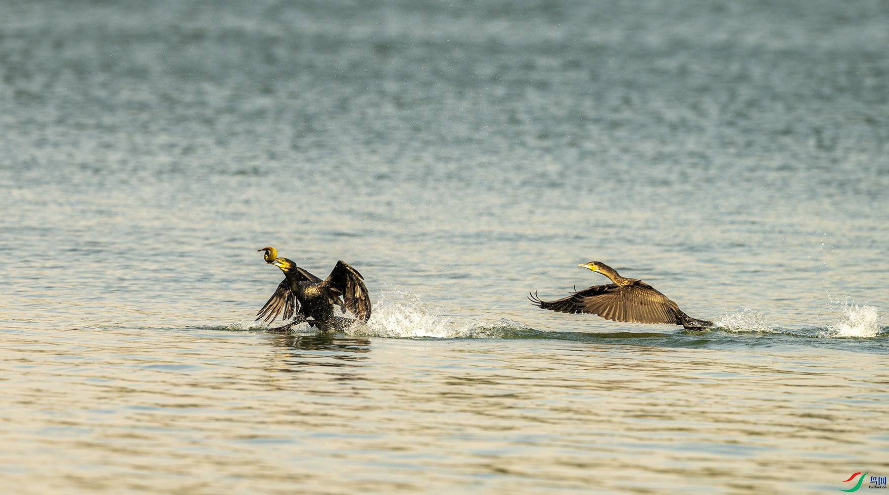 1010 ����.jpg