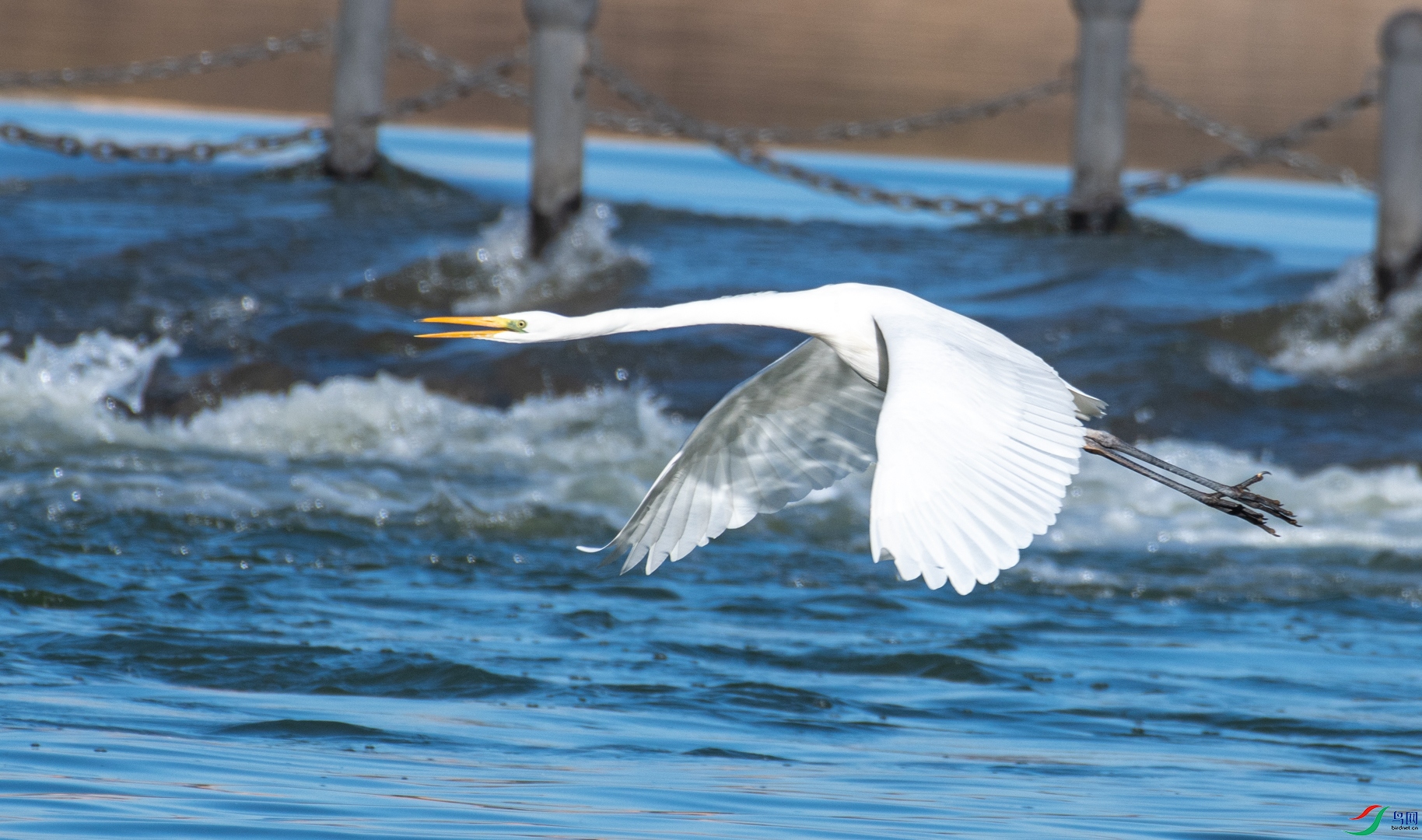 DSC_3634_1.jpg