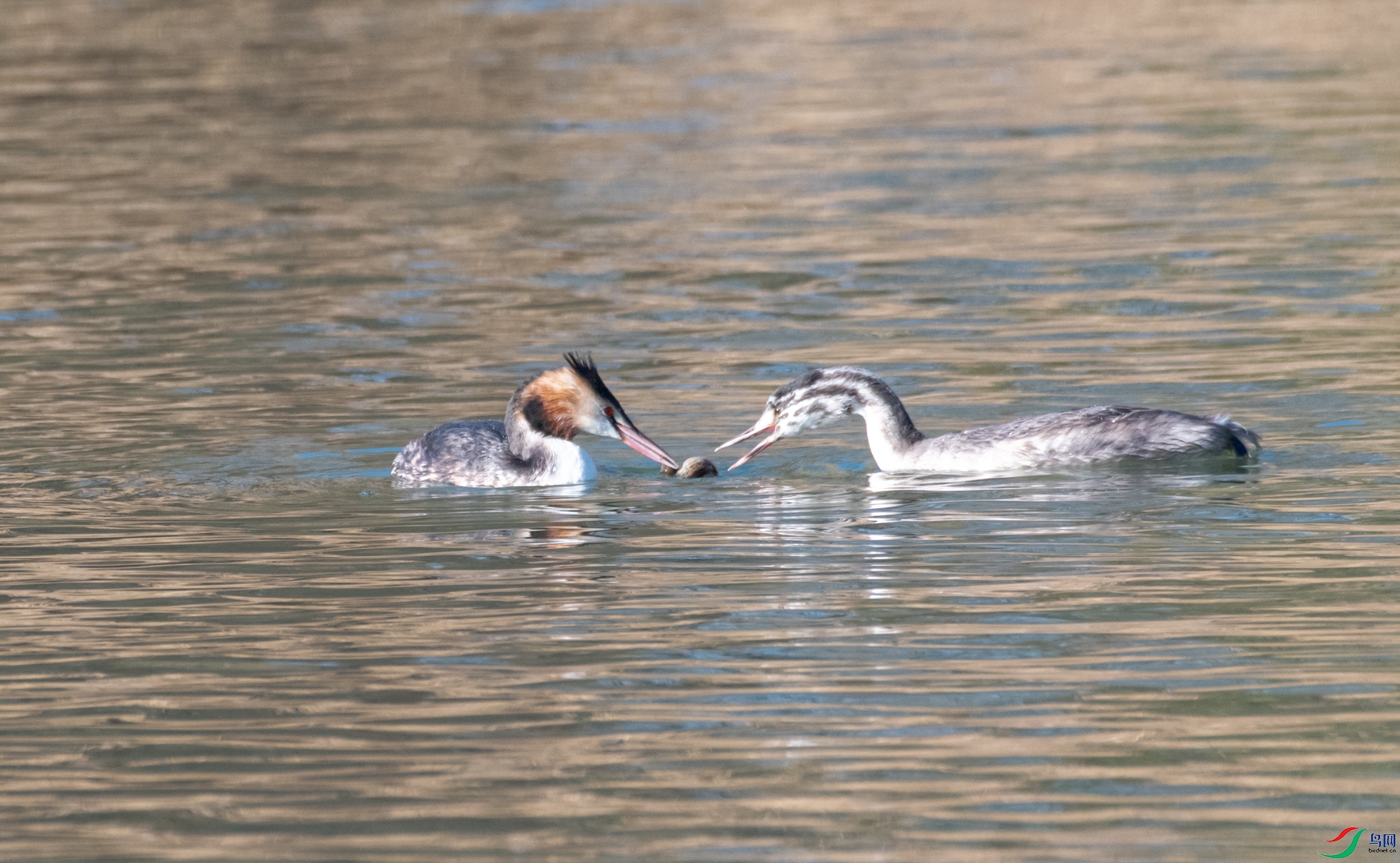 DSC_3592.jpg