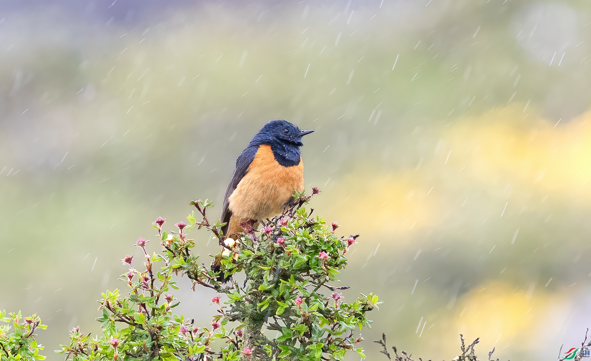 AY8I4088 ����.jpg