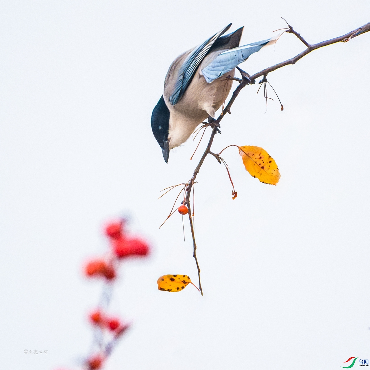 DSCF4172-����ǿ-����-�༭-�༭-2.jpg