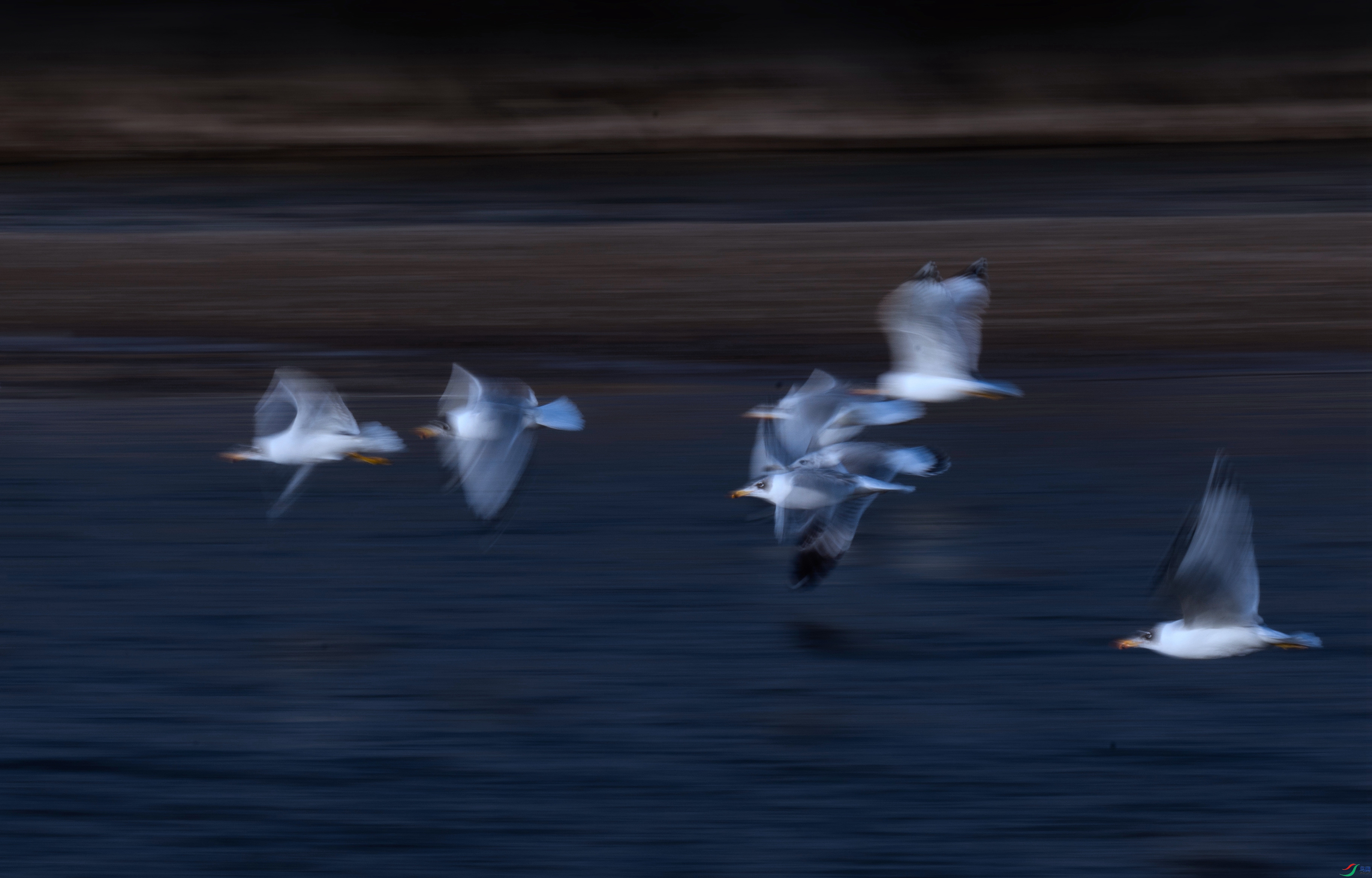 _X5A202300000 - ����.jpg