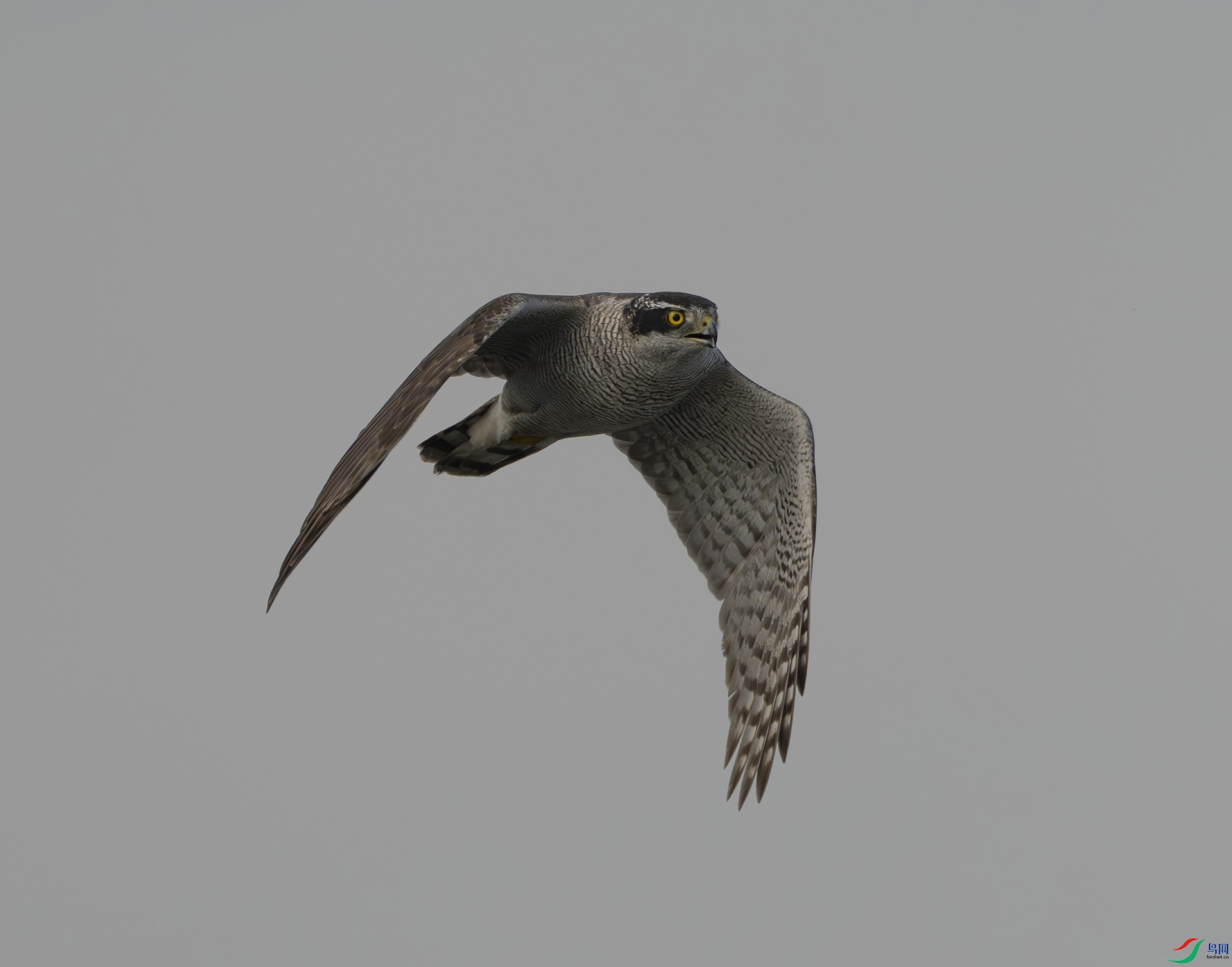 ����׼������