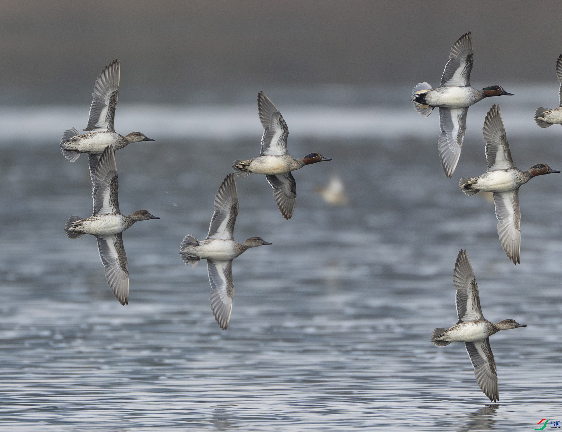 �̳�Ѽ����