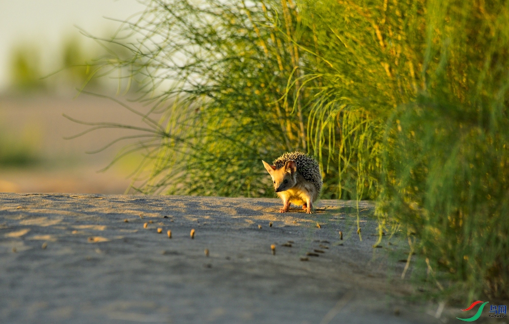 _DSC2752 ����_01.JPG