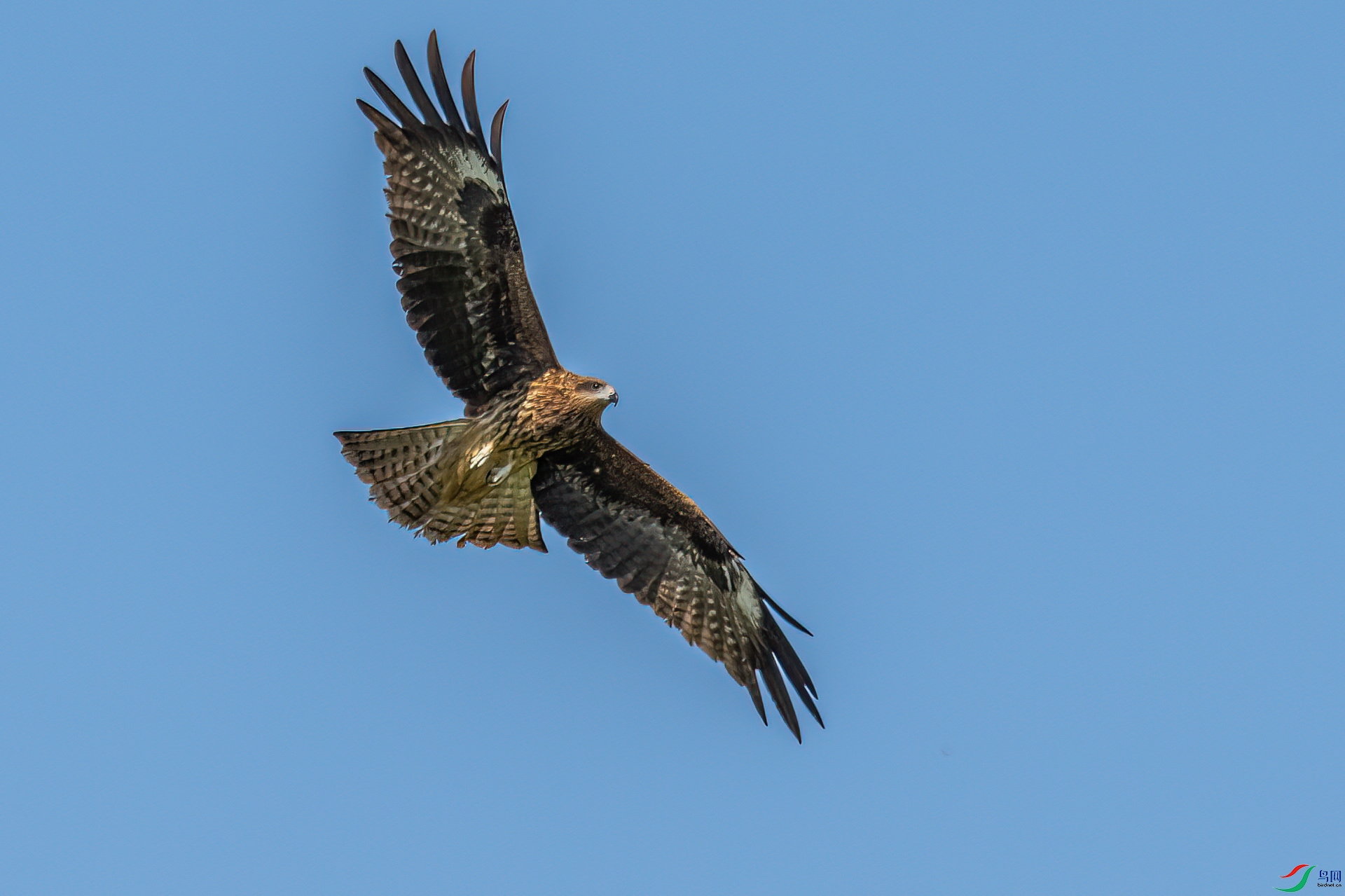 DSC_0018.jpg