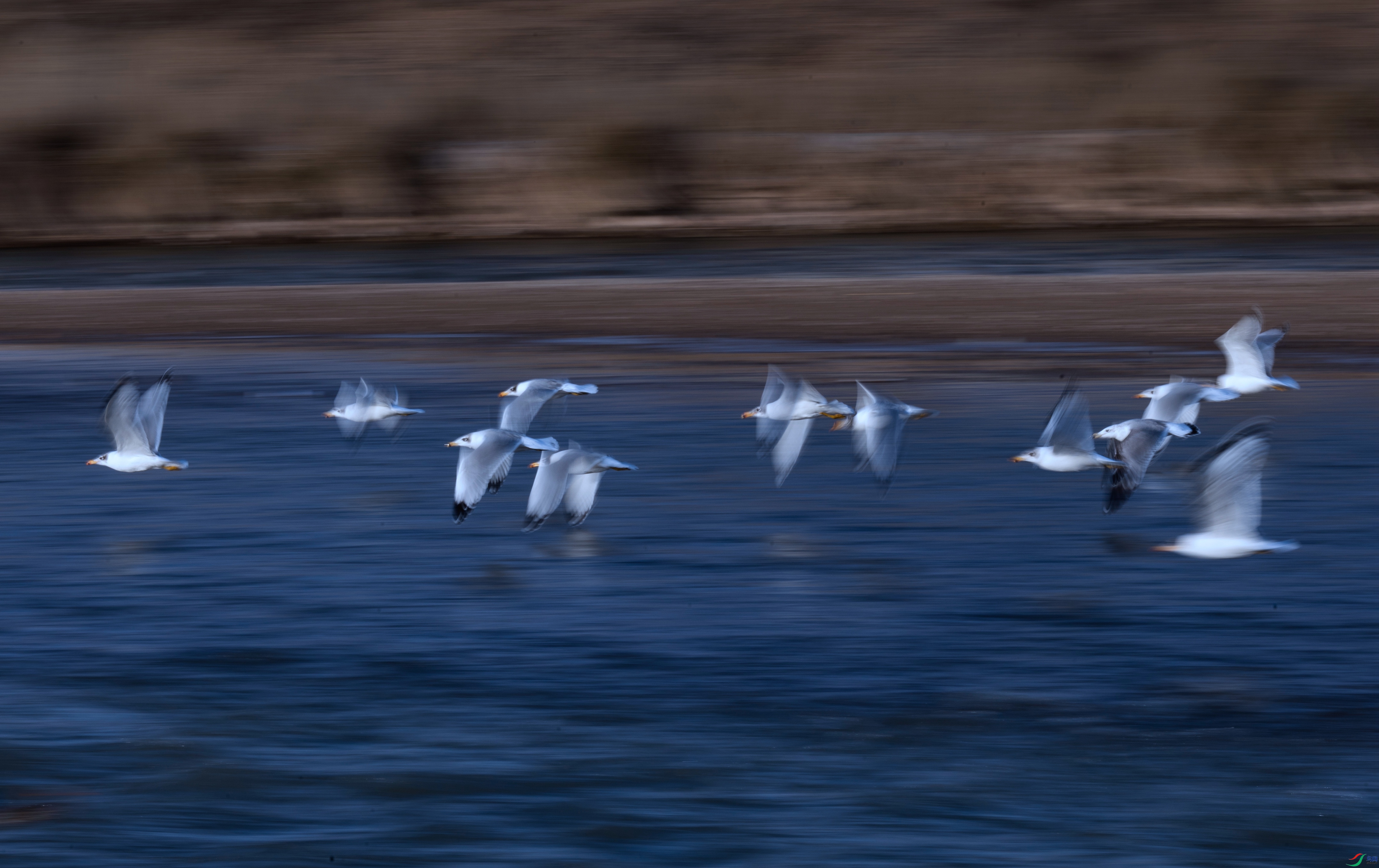 _X5A2025 - ����.jpg