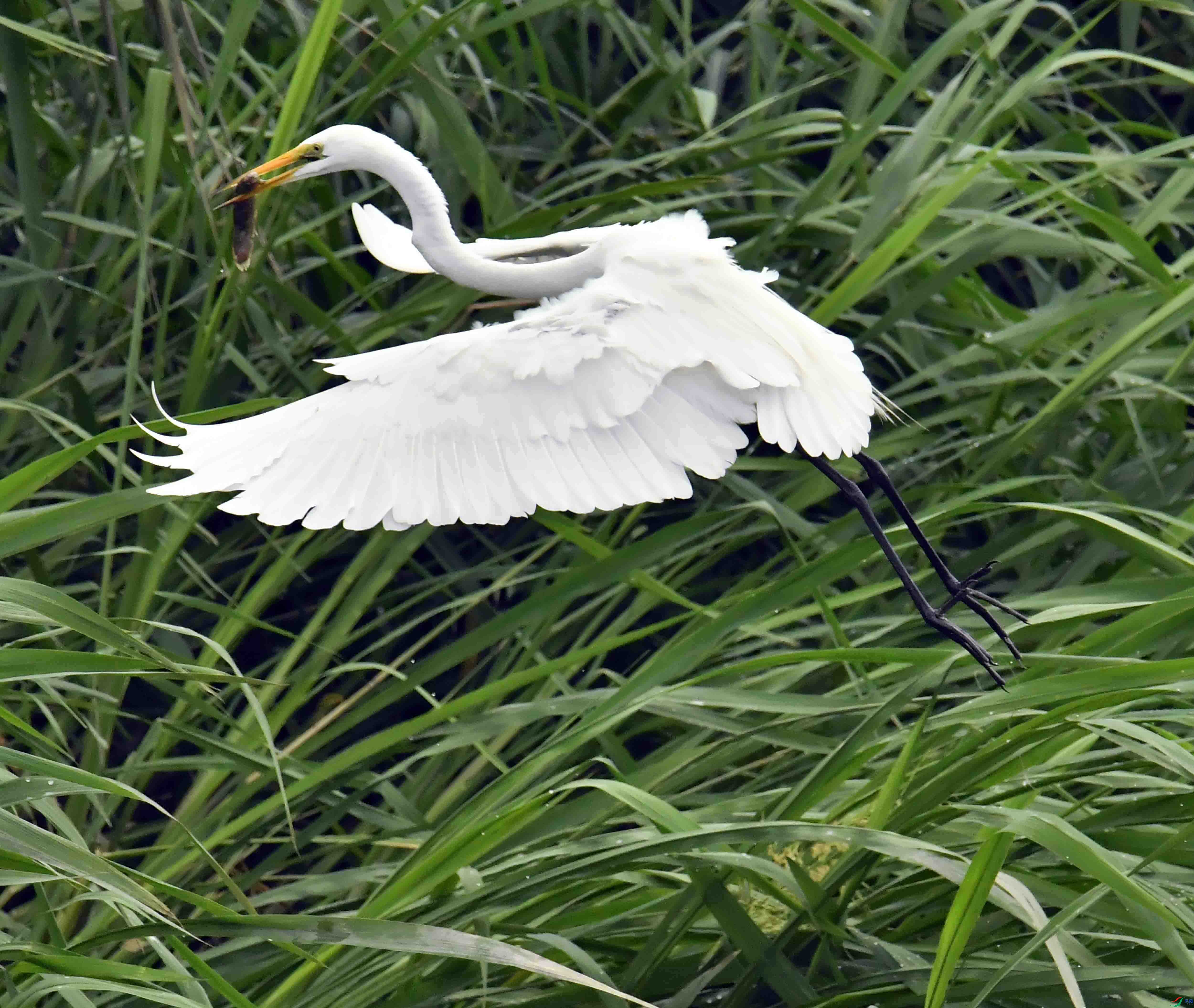 DSC_6942.JPG