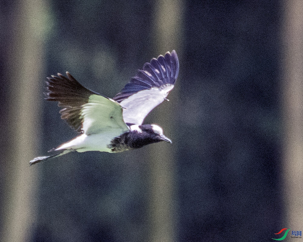 DSC_1450.jpg