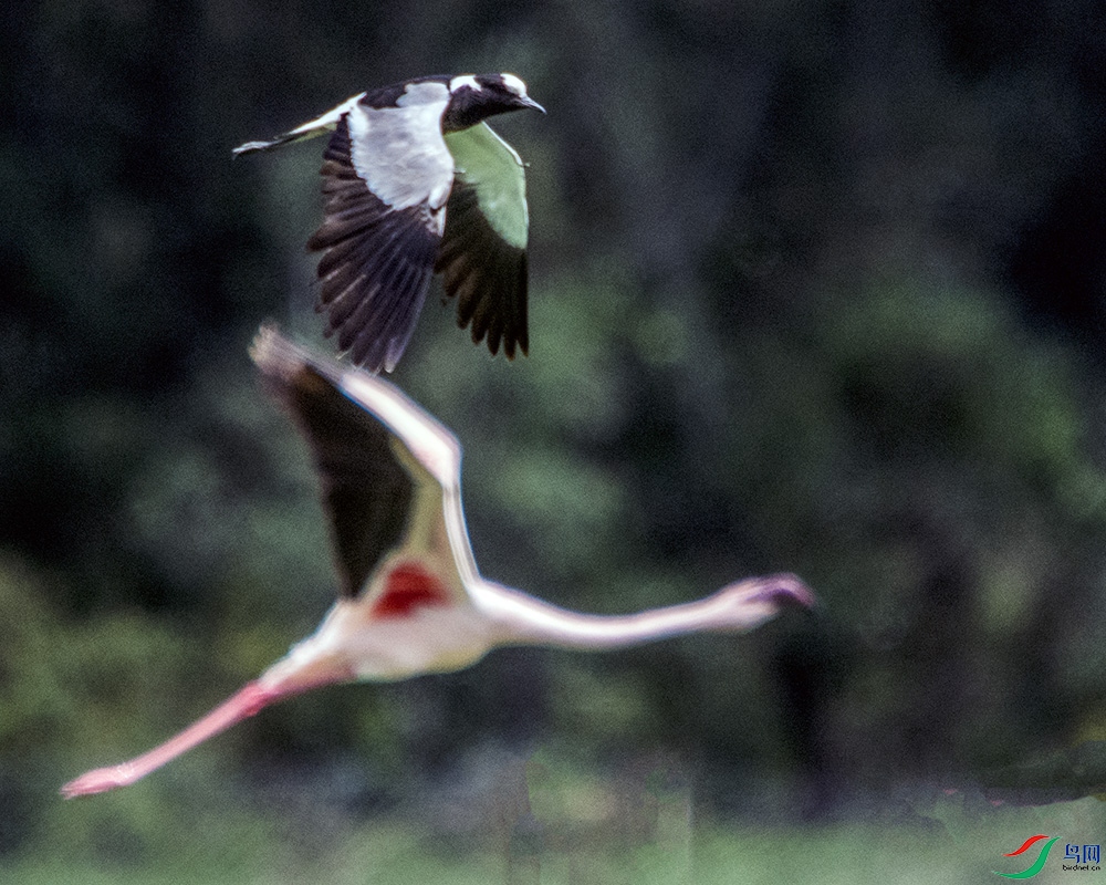 DSC_1452.jpg