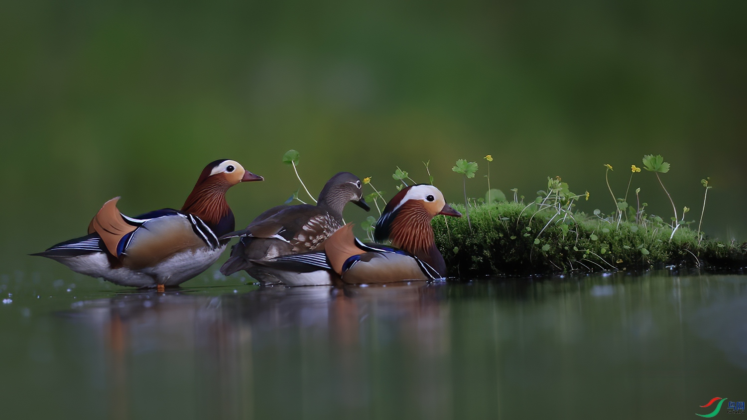 ��������̬����