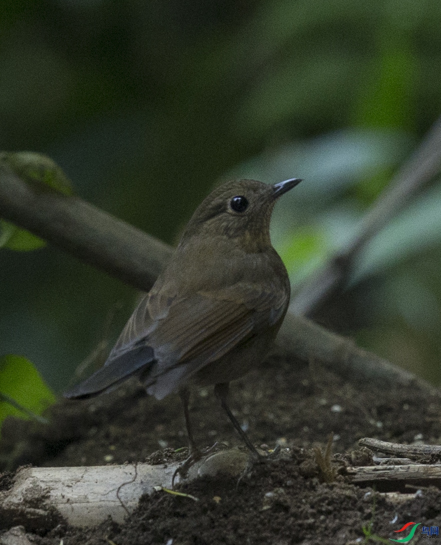 CS3U7682.jpg