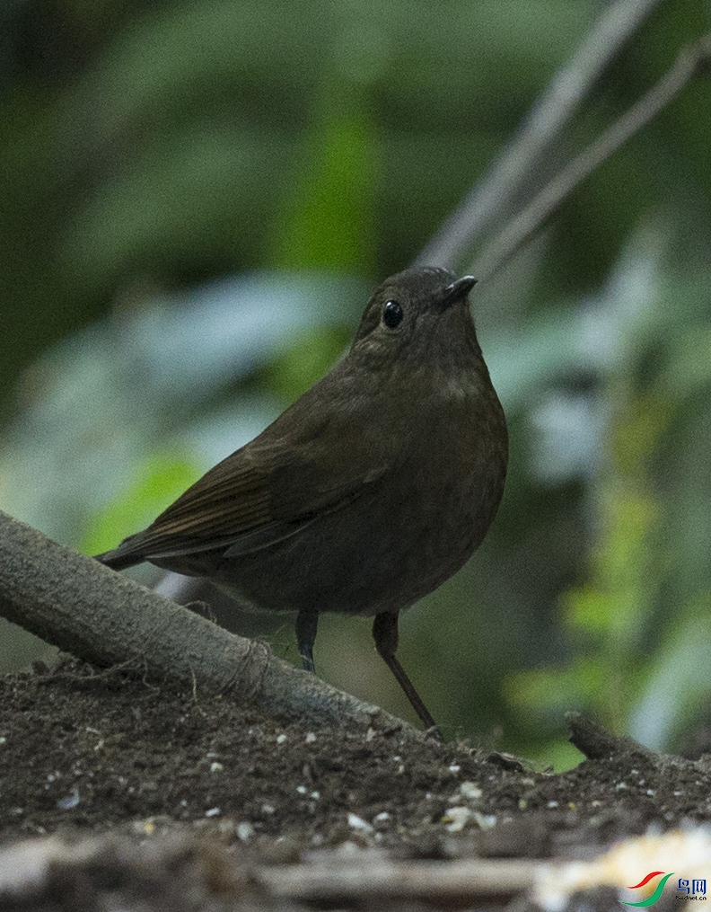 CS3U7494.jpg