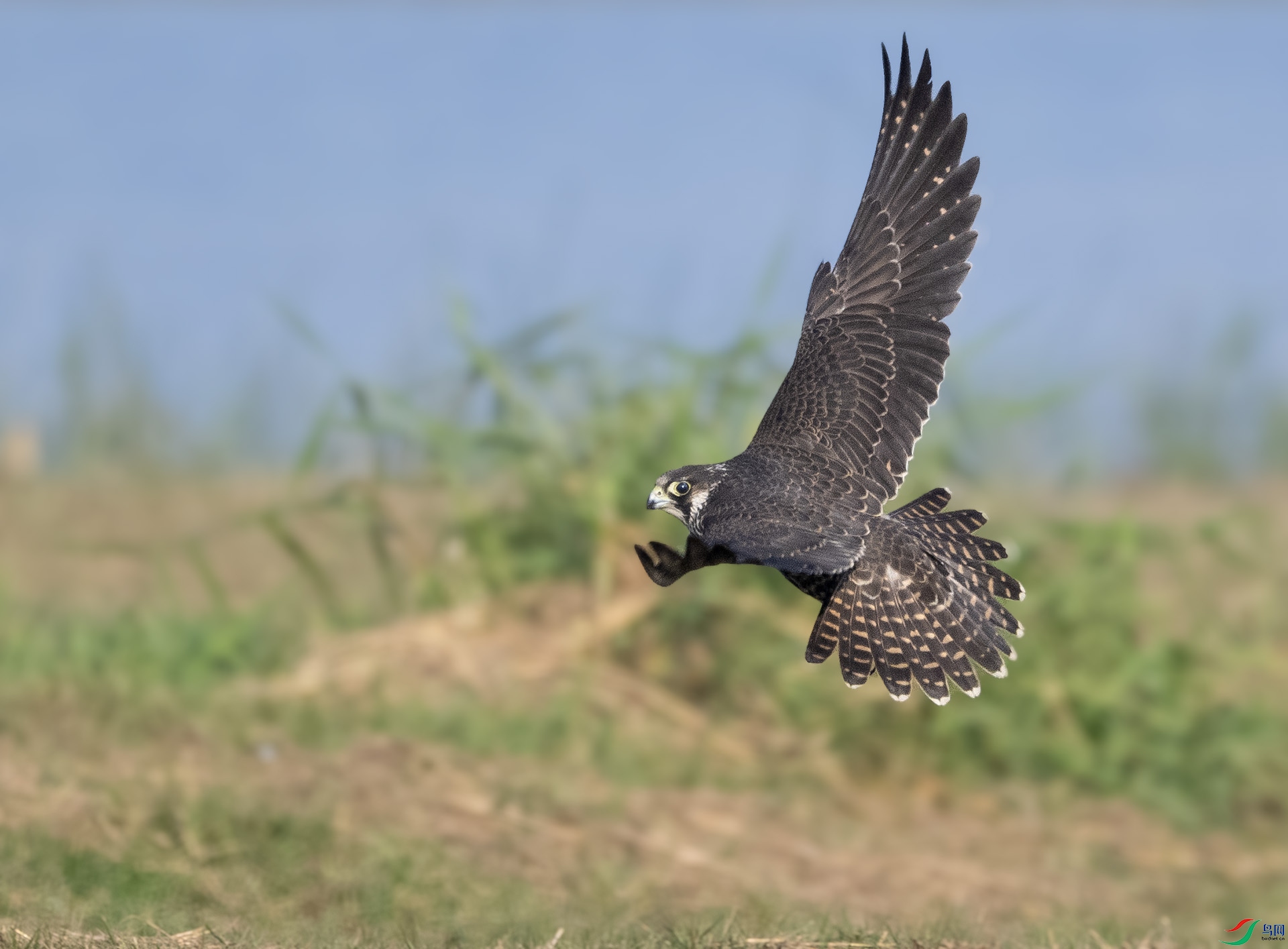 ��DSC_7139 ��ؐ.jpg