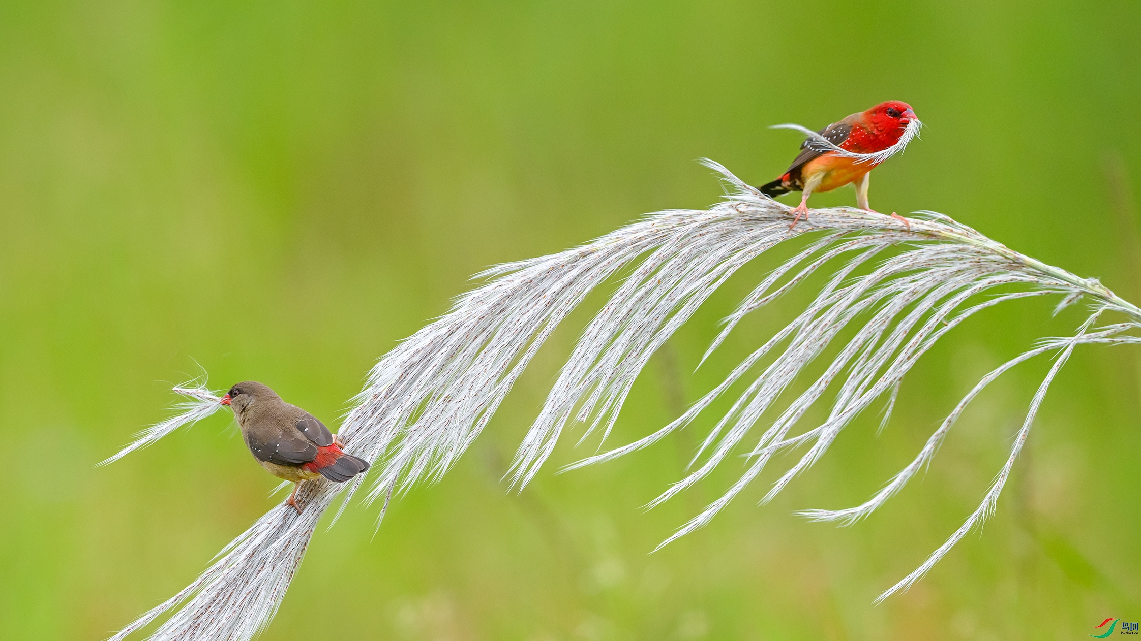 0351 ����.jpg