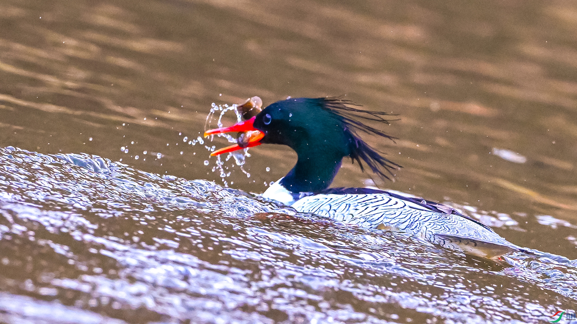 0226 ����.jpg