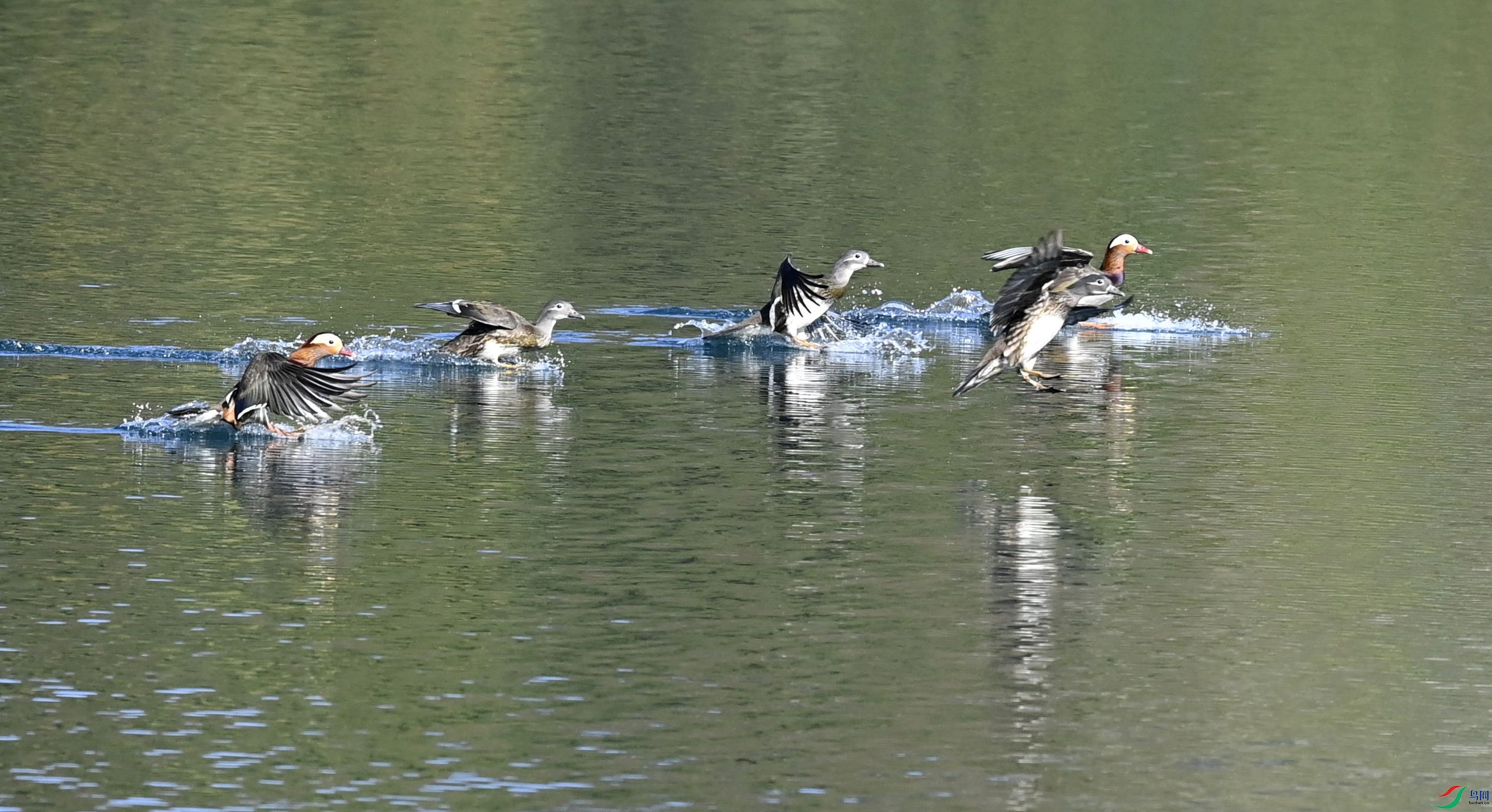 _DSC6164ԧ�� (97)_����.jpg