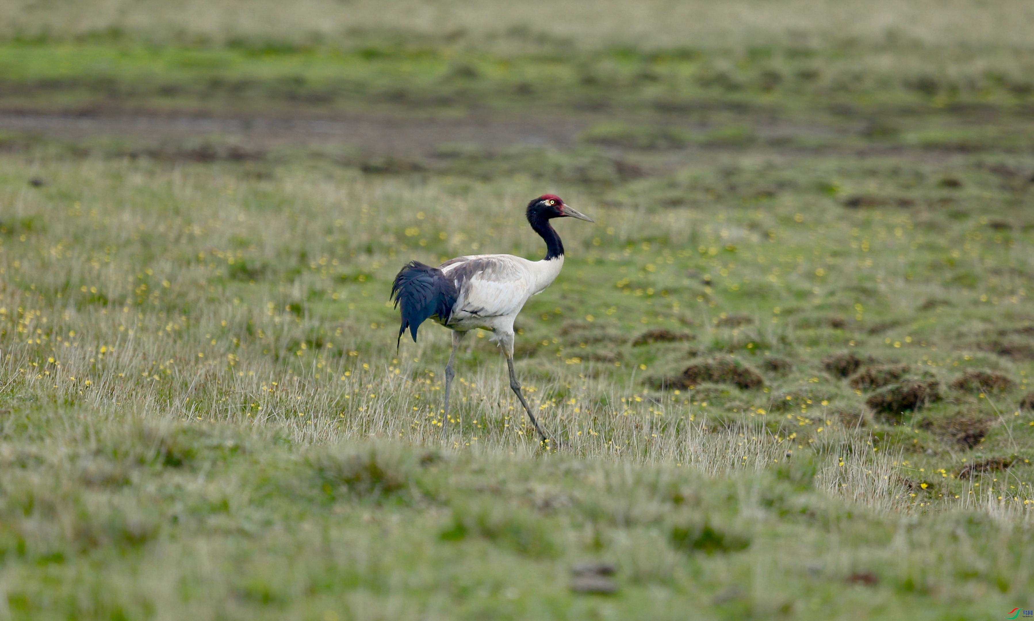 X39A6743 - ����.jpg