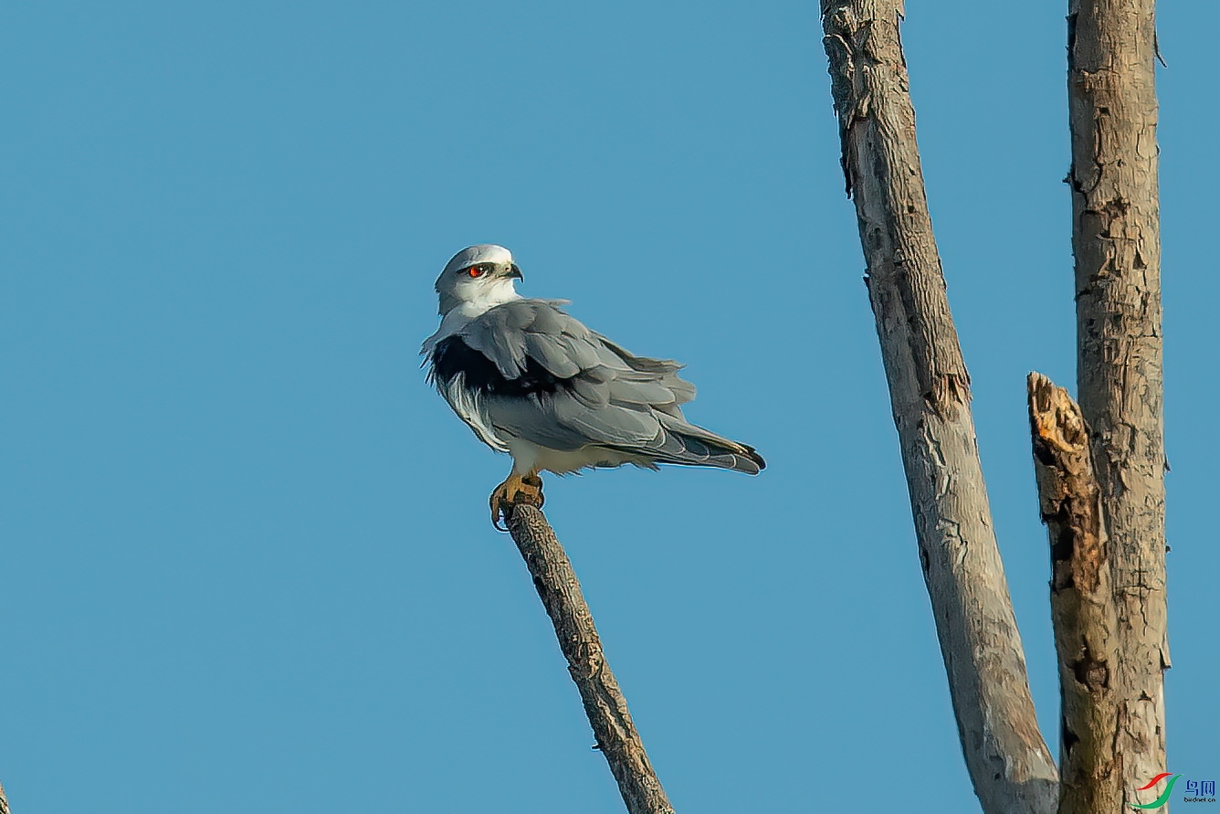 DSC_6474.jpg