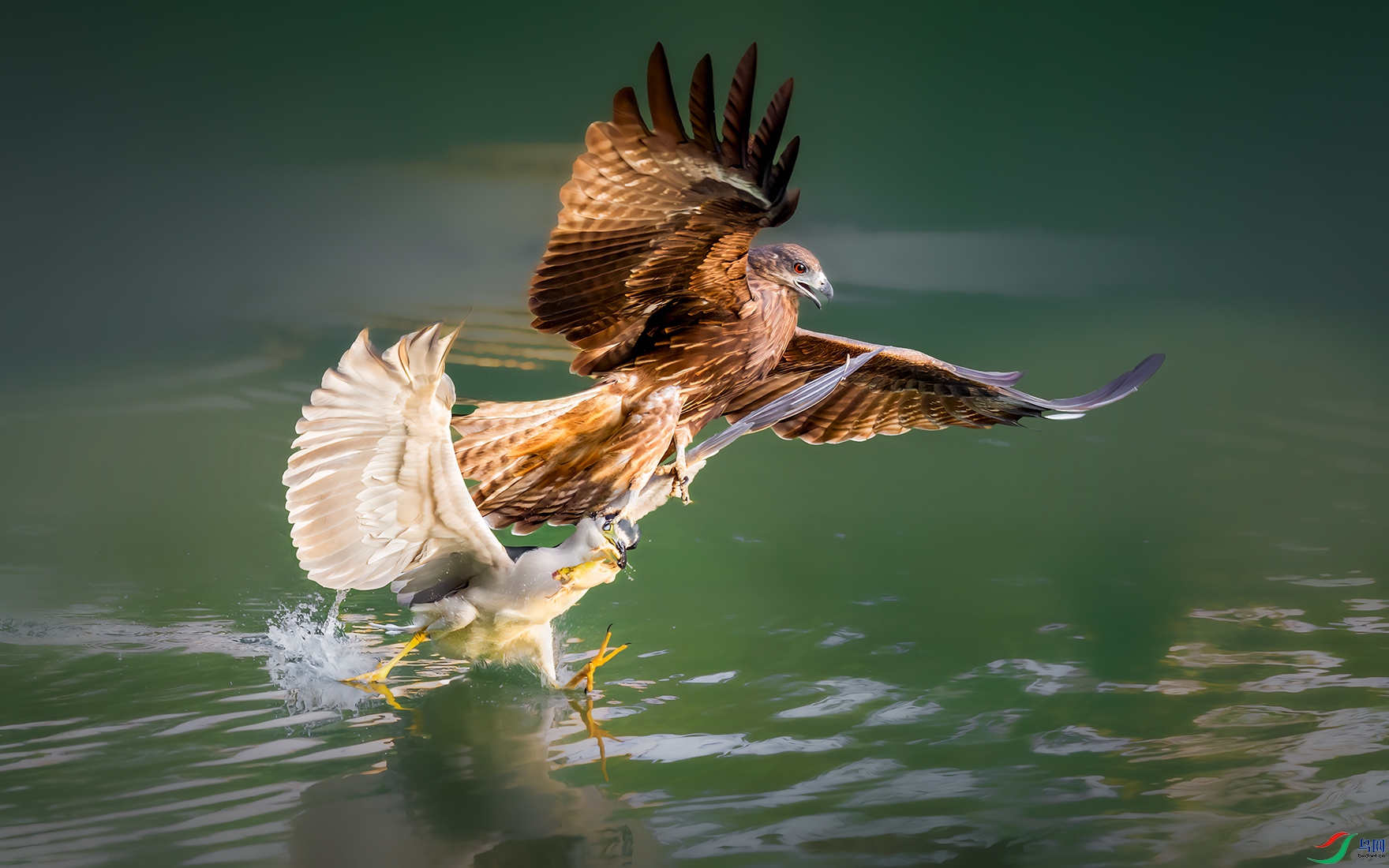 DSC_0539-����ǿ-NR ���� 2.jpg