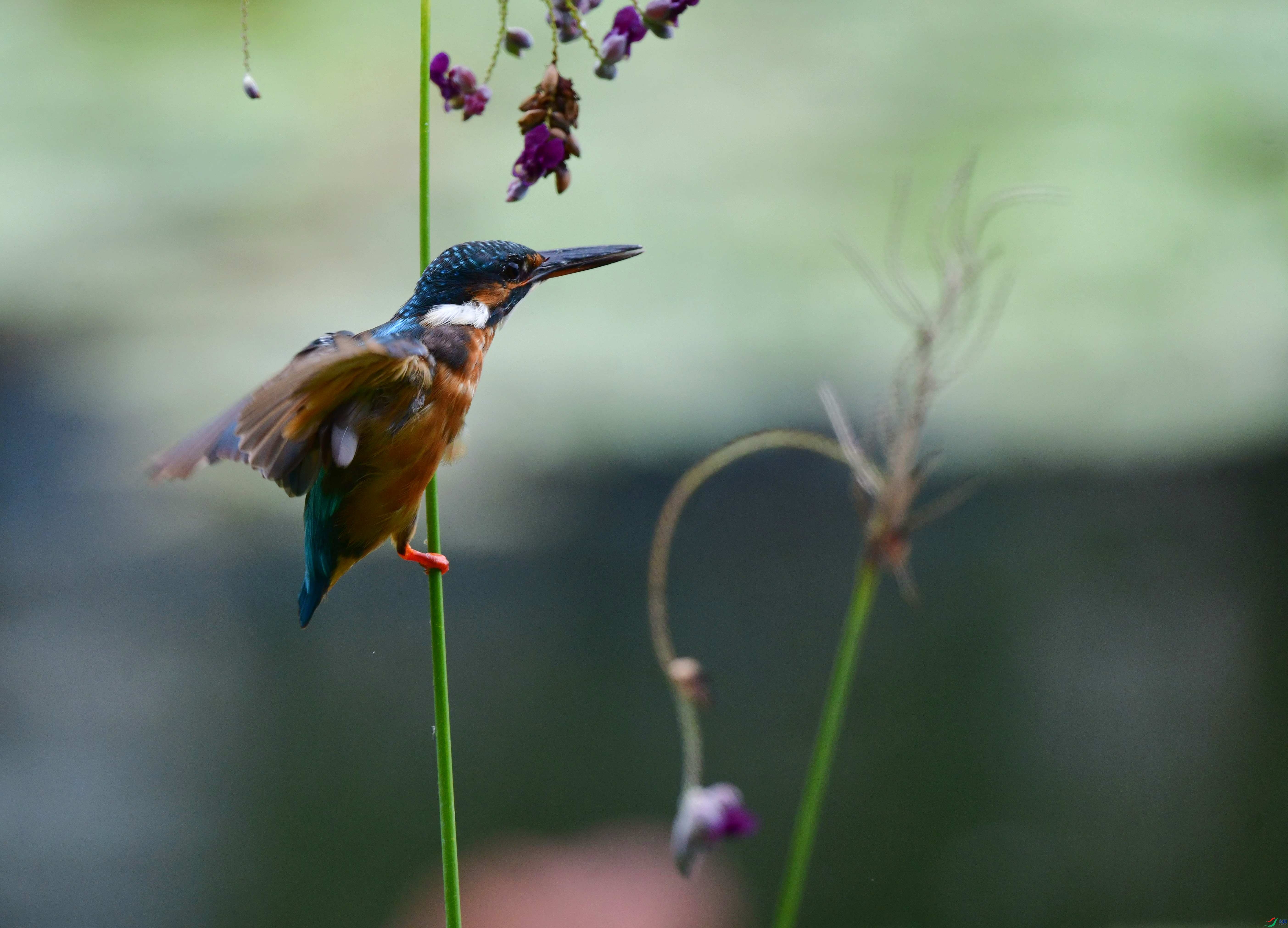 DSC_5630_��ͼ��_����.jpg