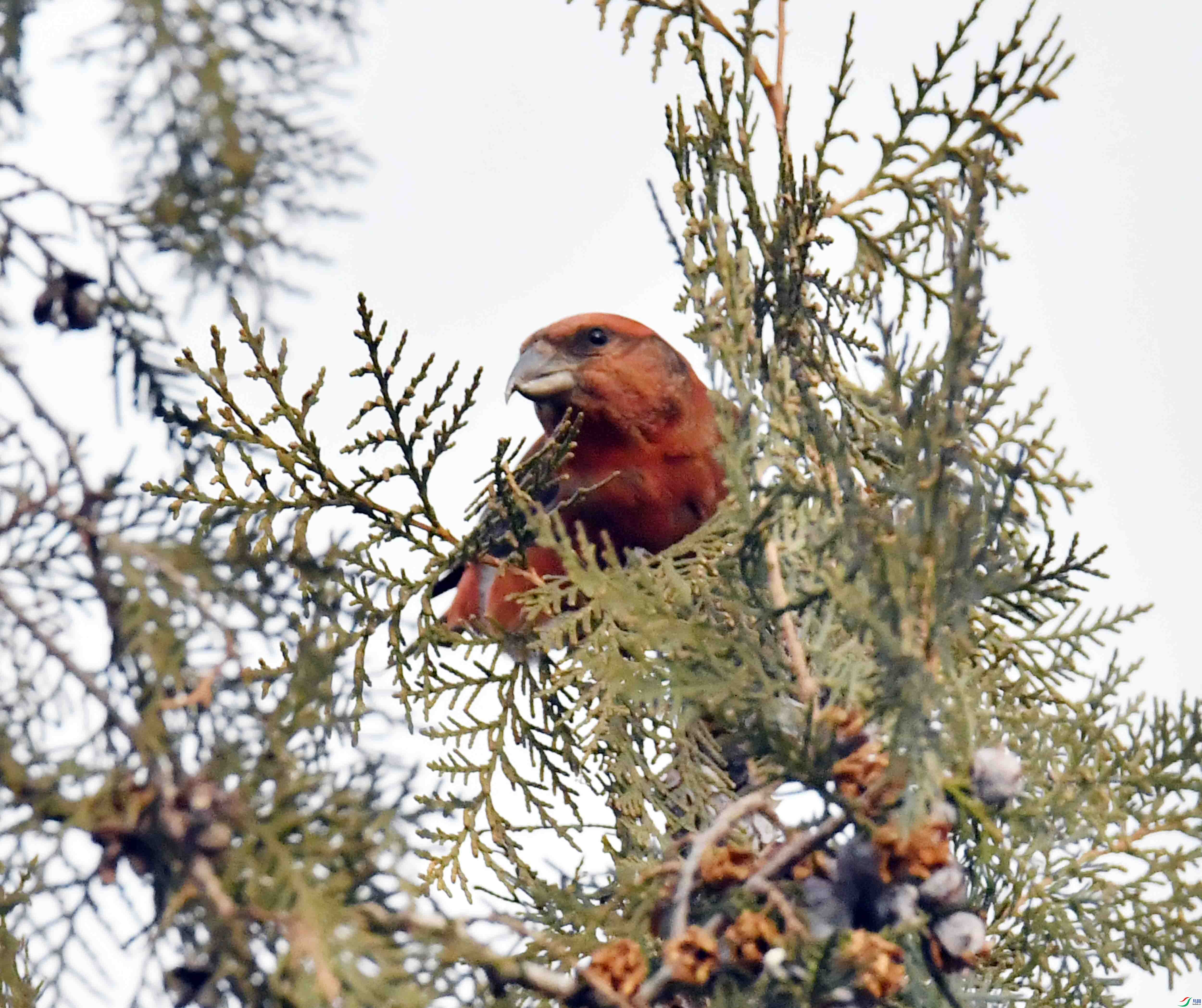 DSC_4941.JPG