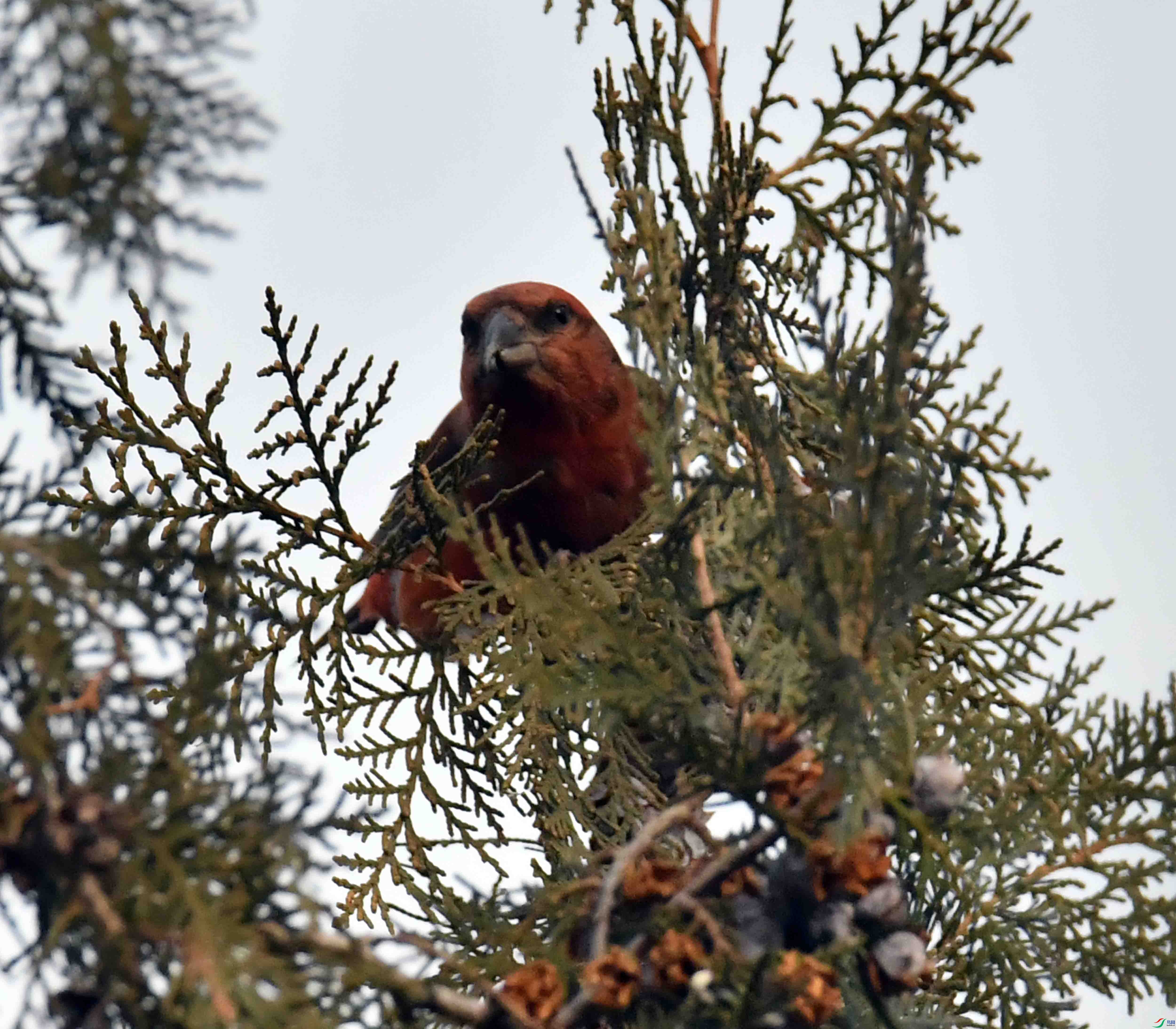 DSC_4945.JPG