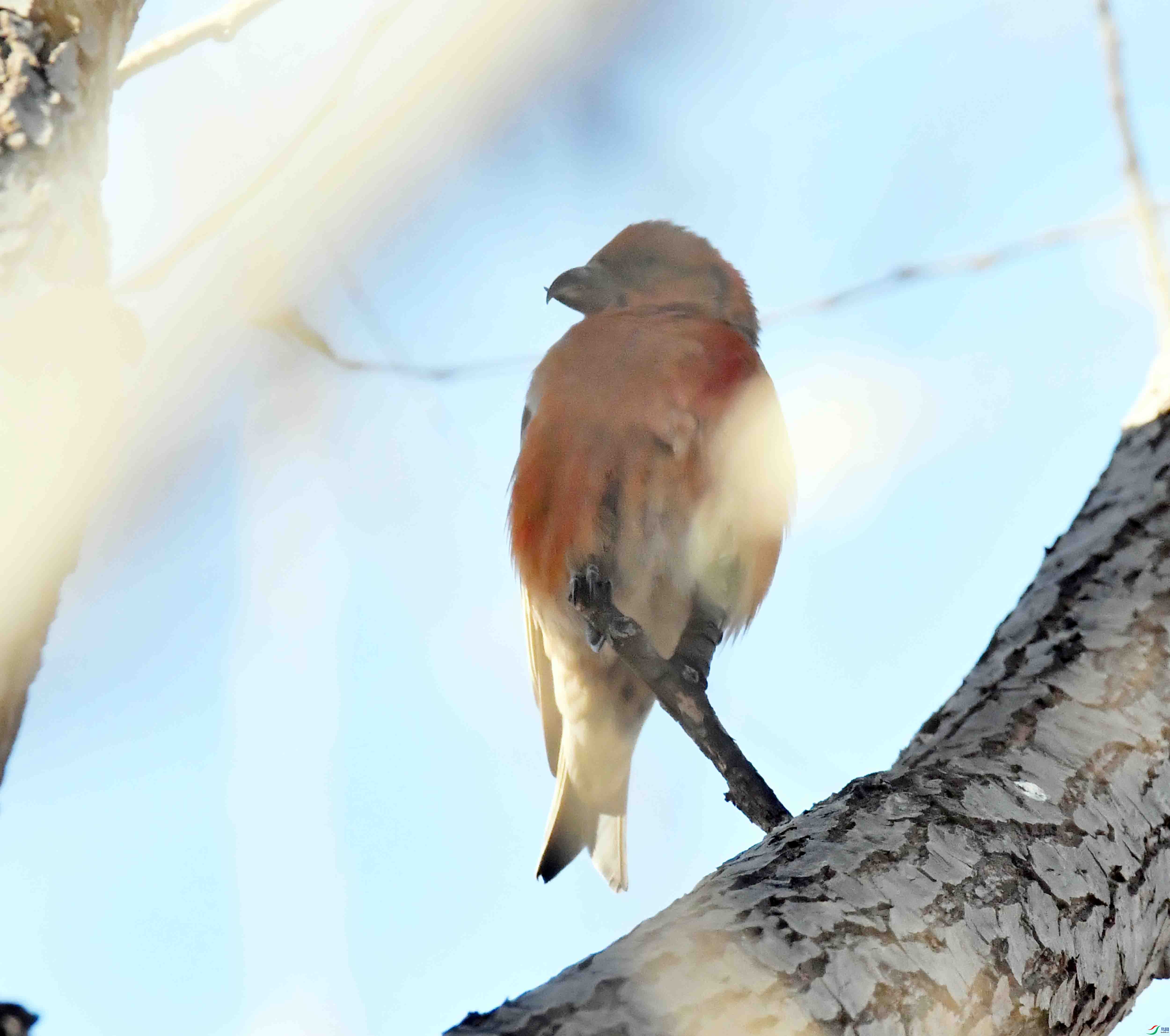 DSC_7097.JPG