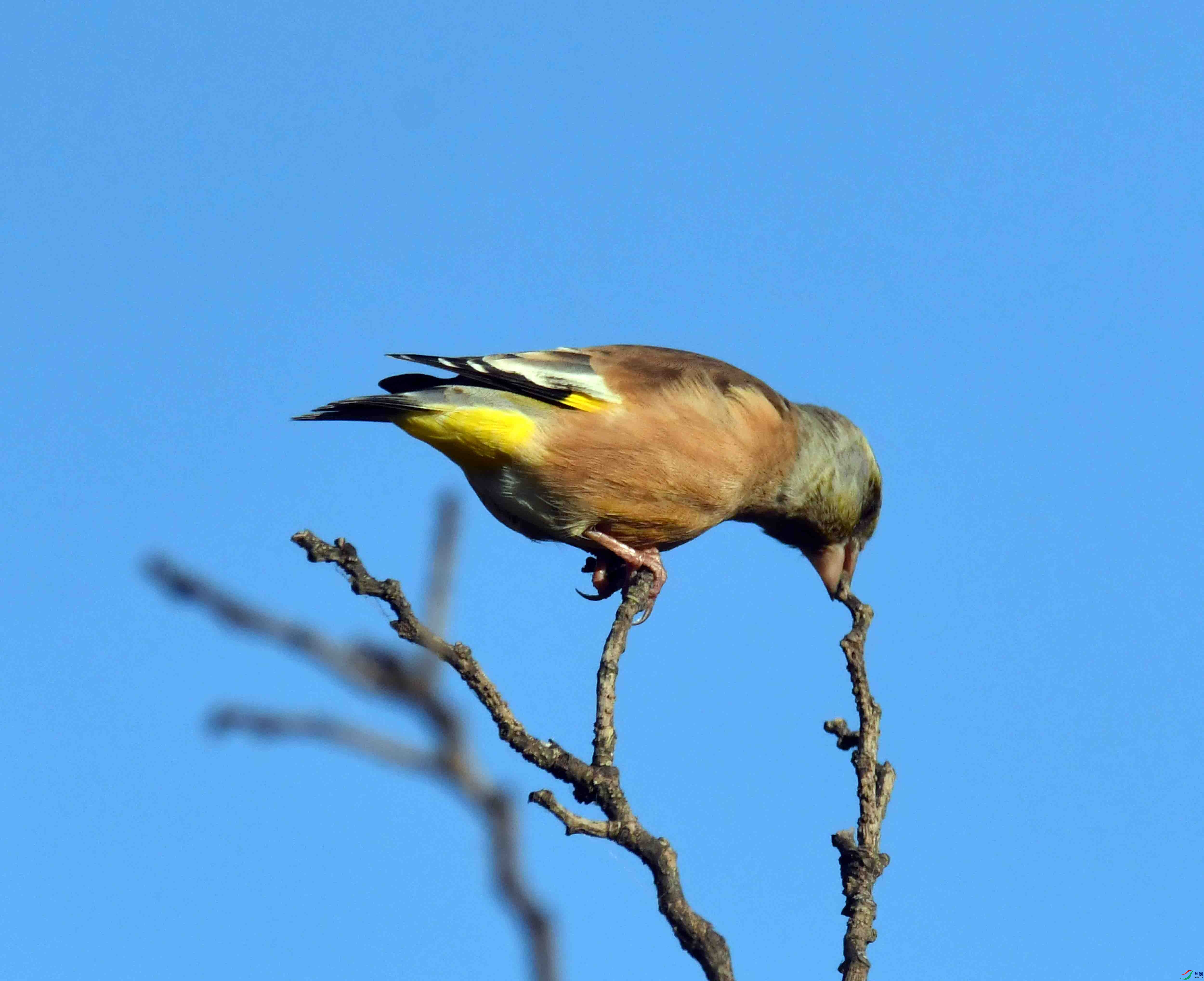 DSC_9923.JPG