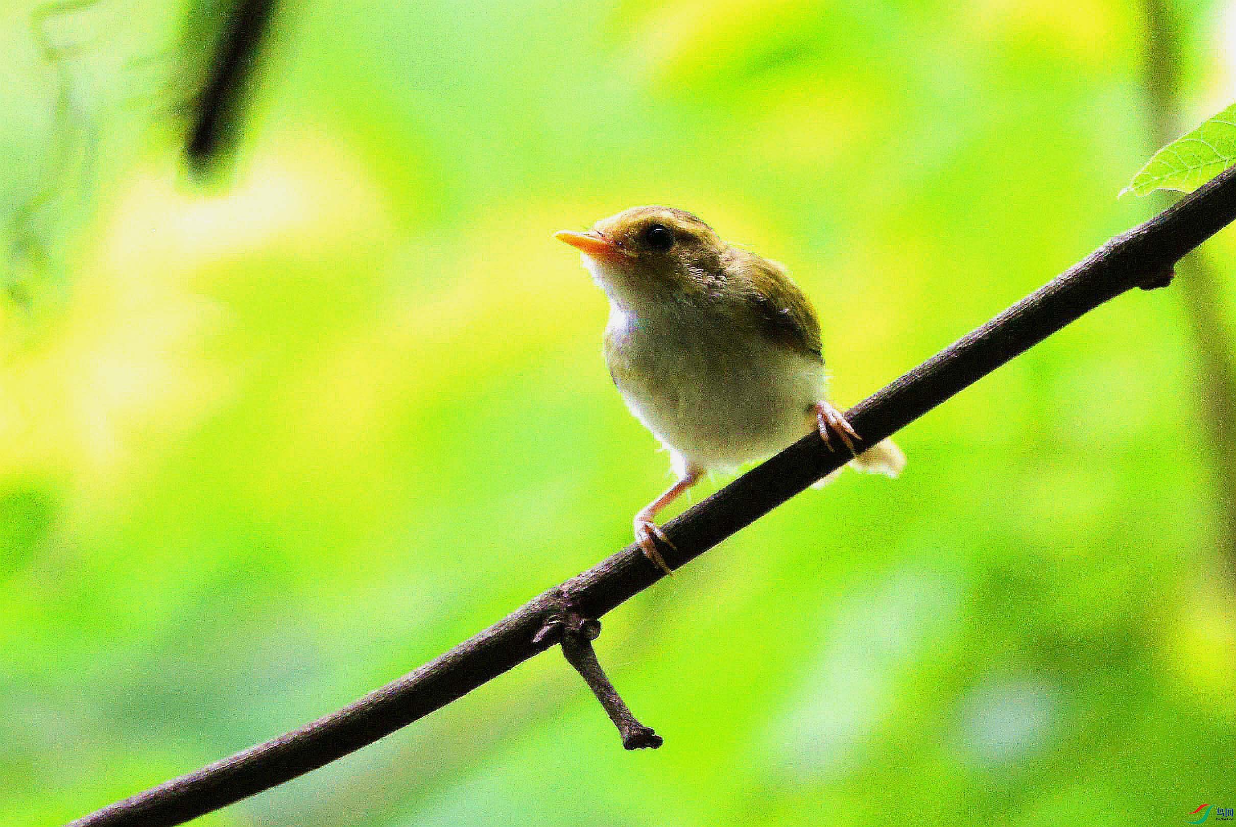 DSC_7180.JPG