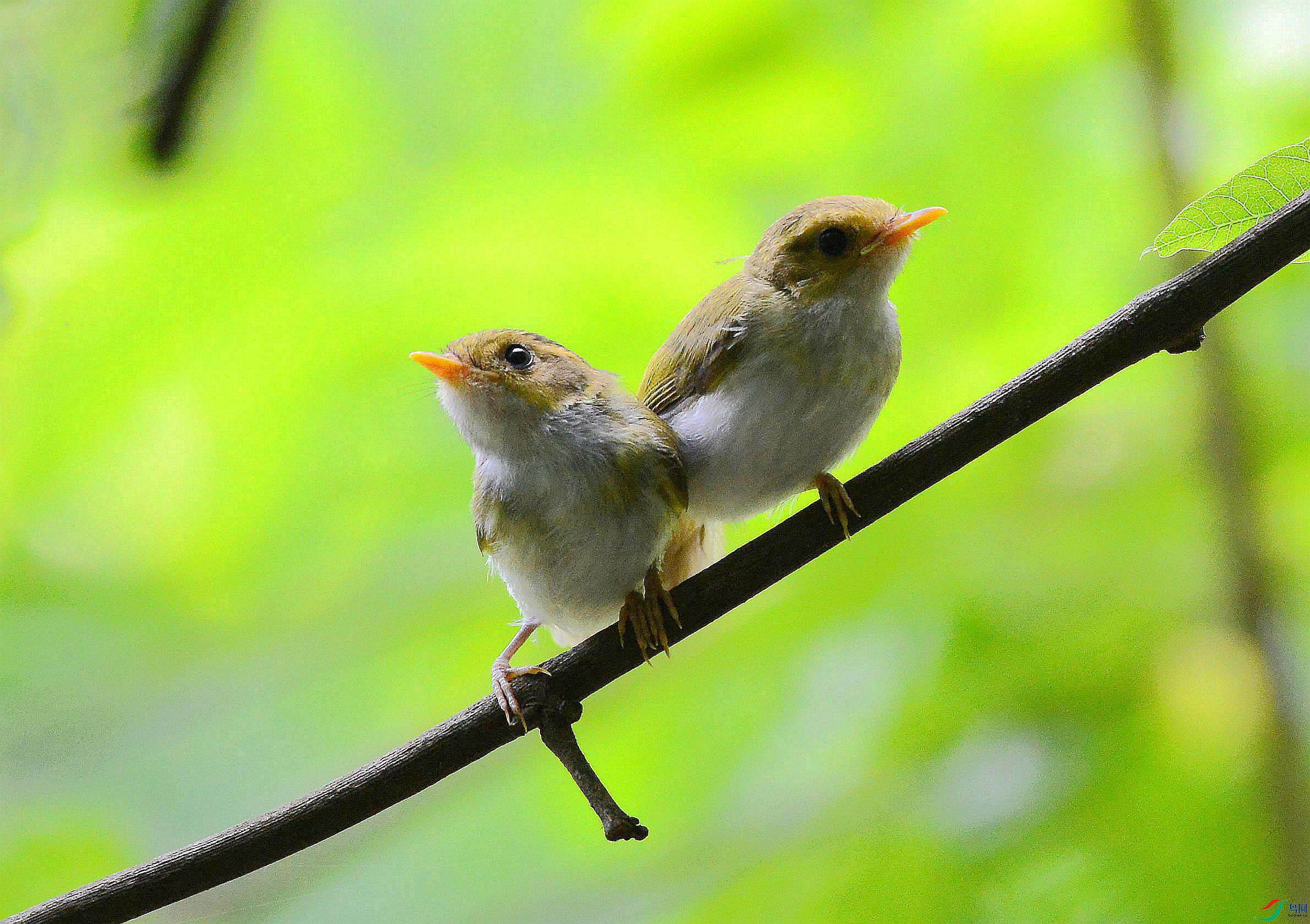 DSC_7194.JPG