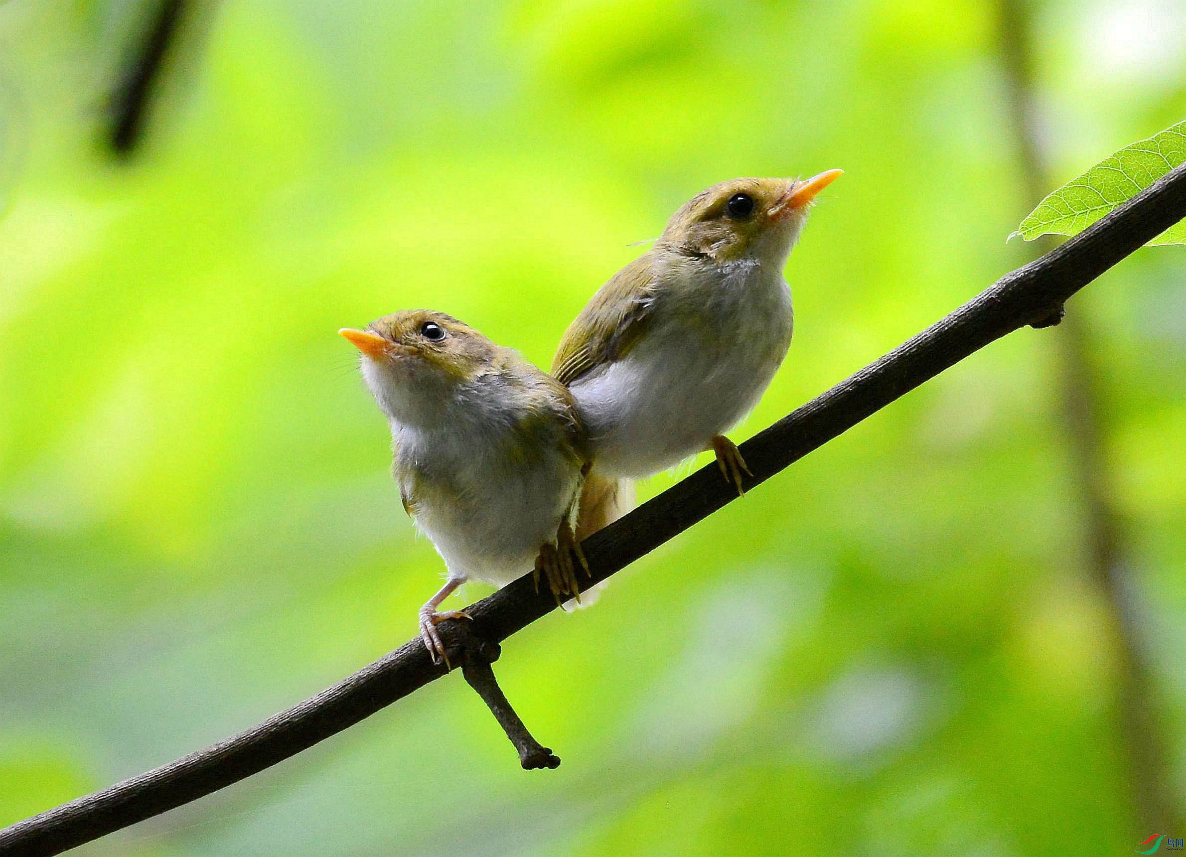 DSC_7193.JPG