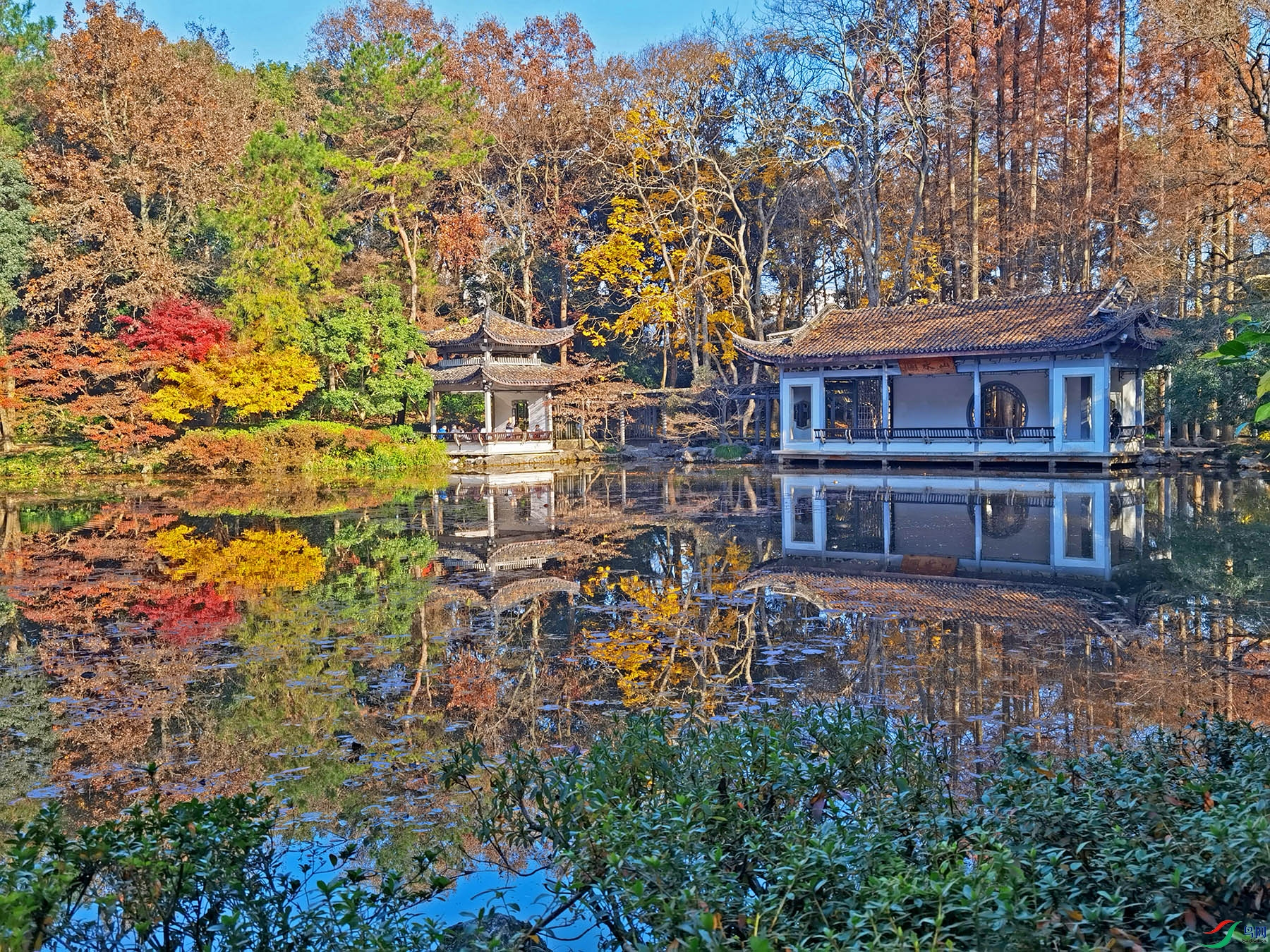 IMG_20231214_090028.jpg