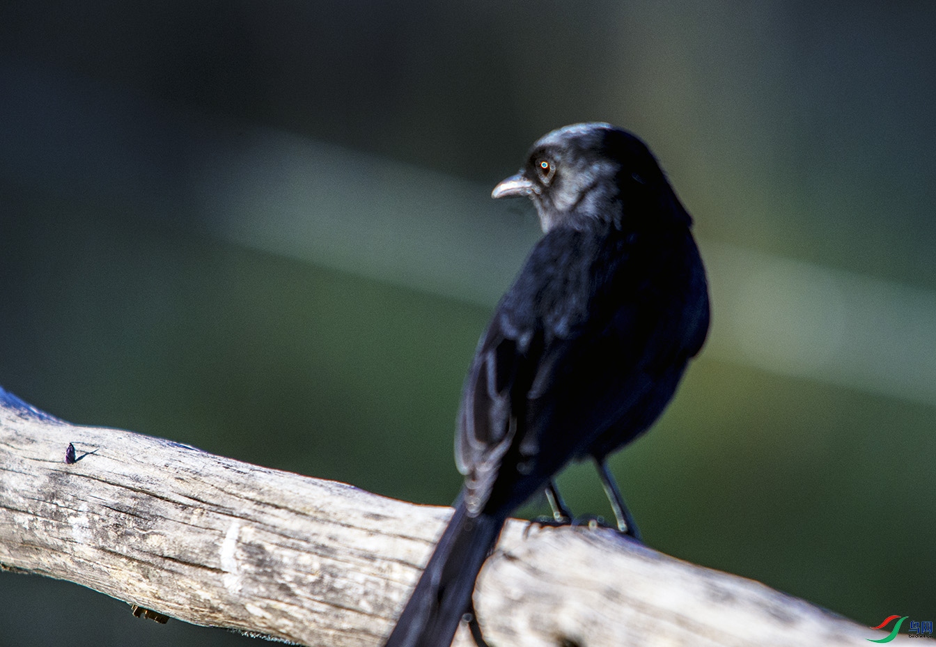 DSC_3135.jpg