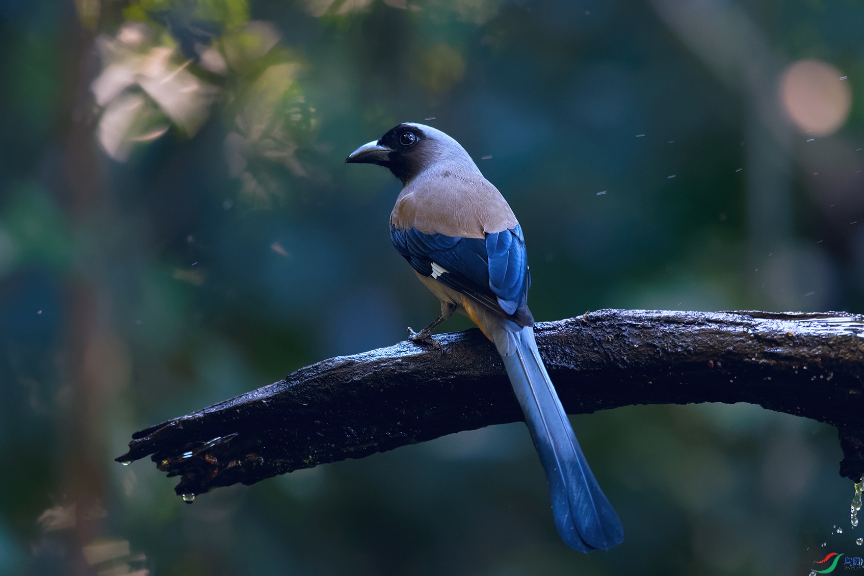 DSC_3743_DxOa.jpg