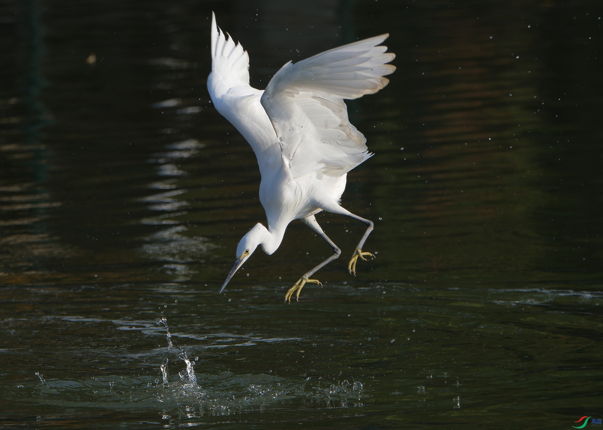 DSC_5678.jpg