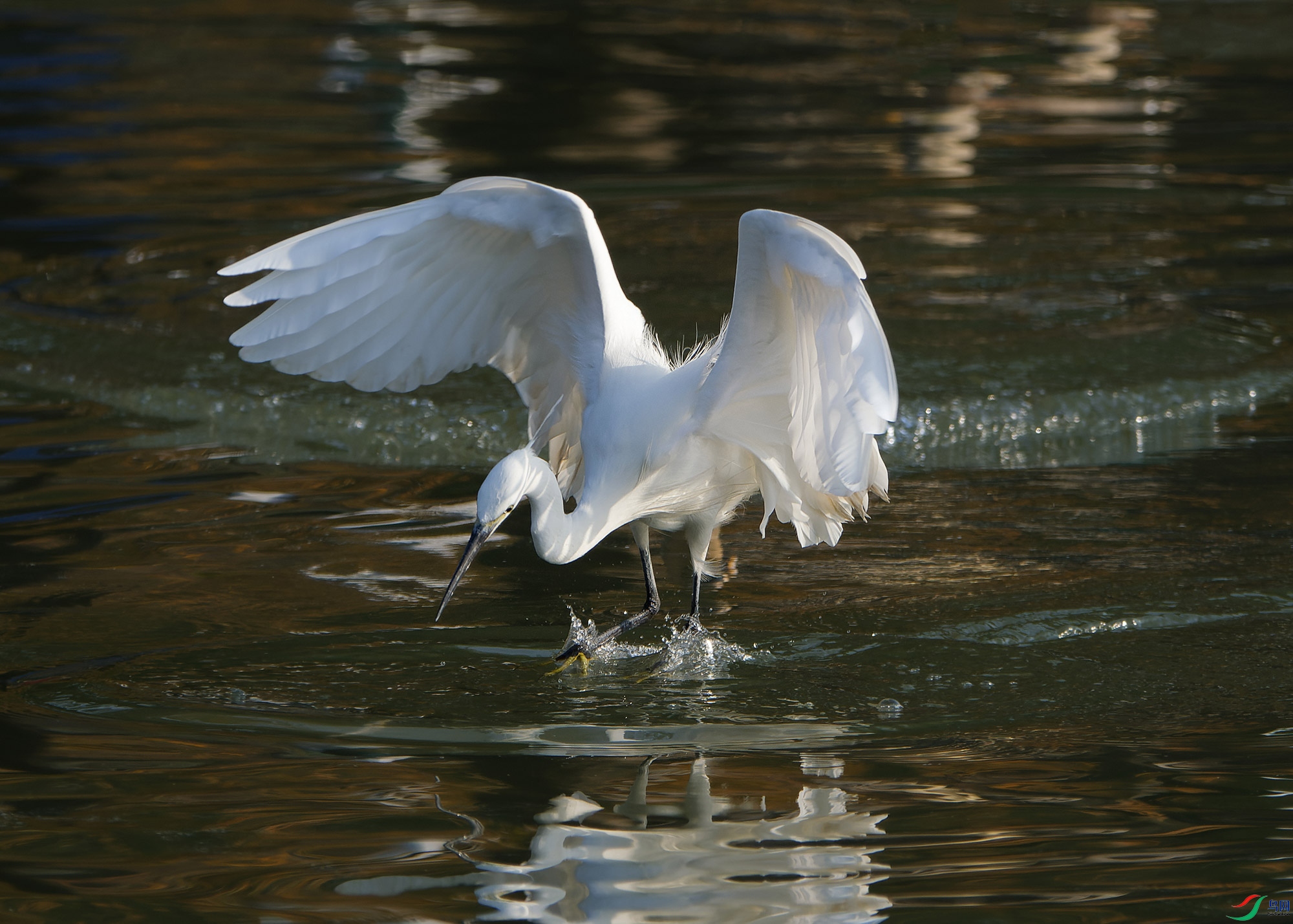DSC_5792.jpg