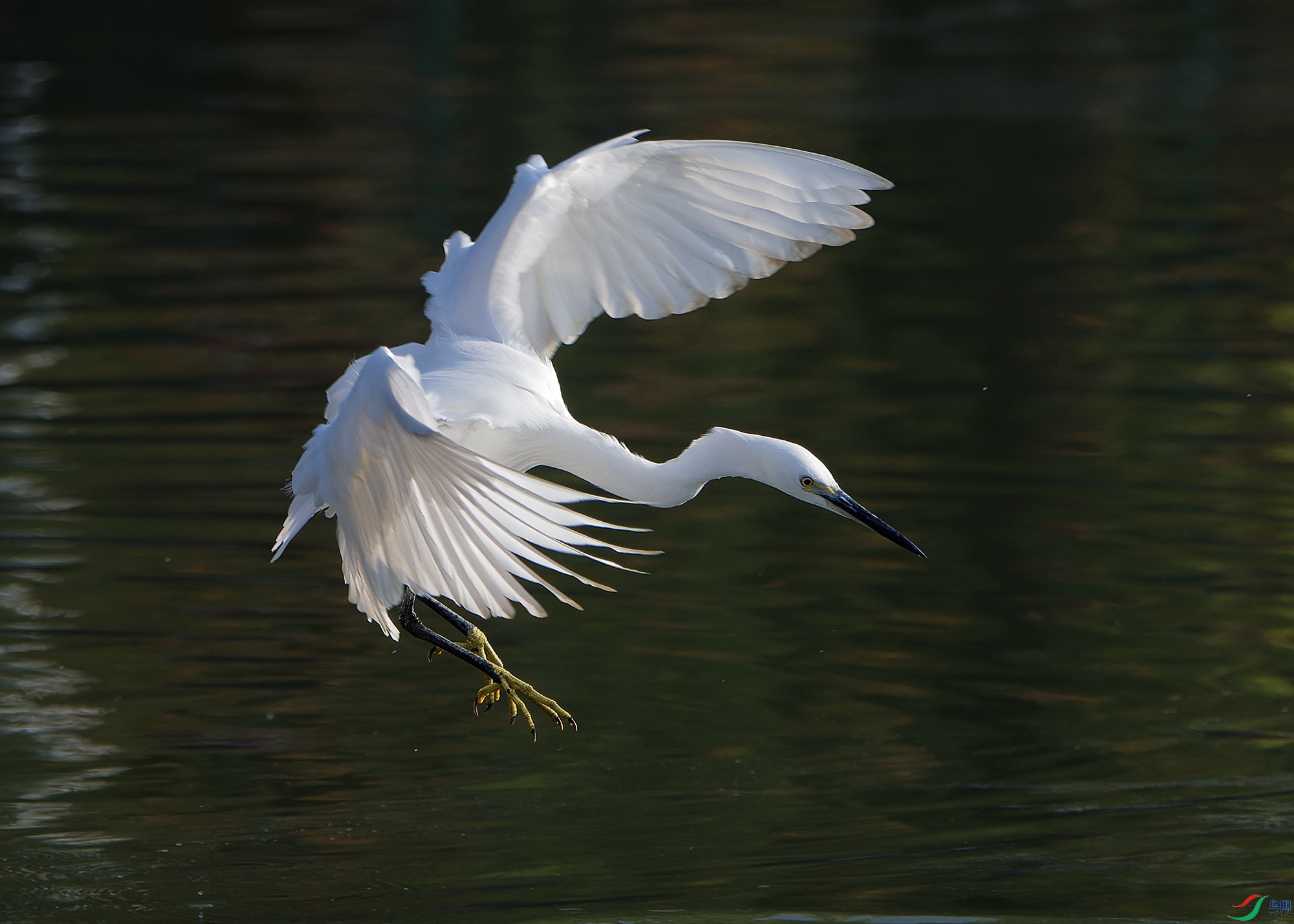 DSC_5859.jpg