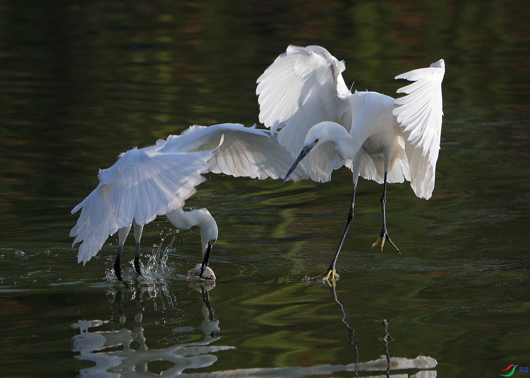 DSC_5862.jpg