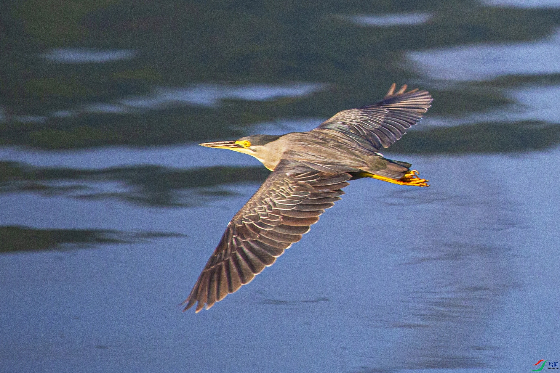 _MG_5164 ���� 2.jpg