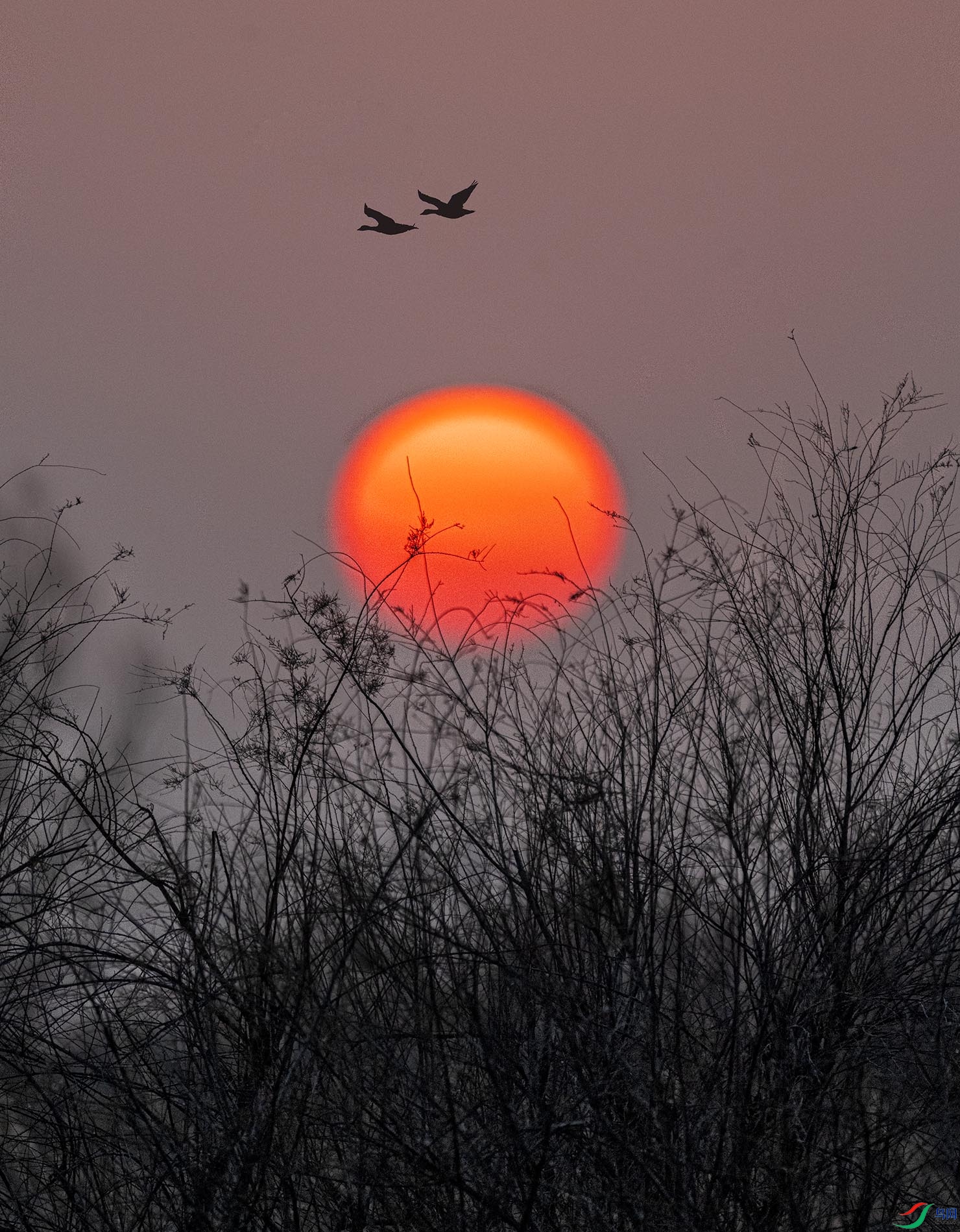 ���շ���