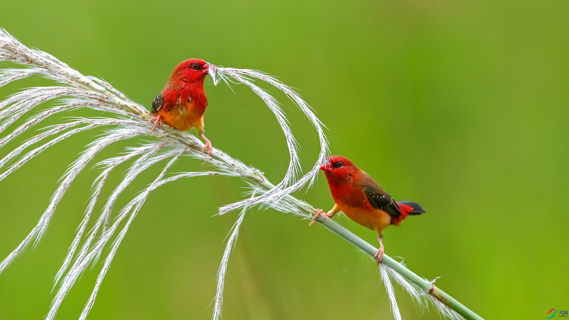 1476 ����.jpg