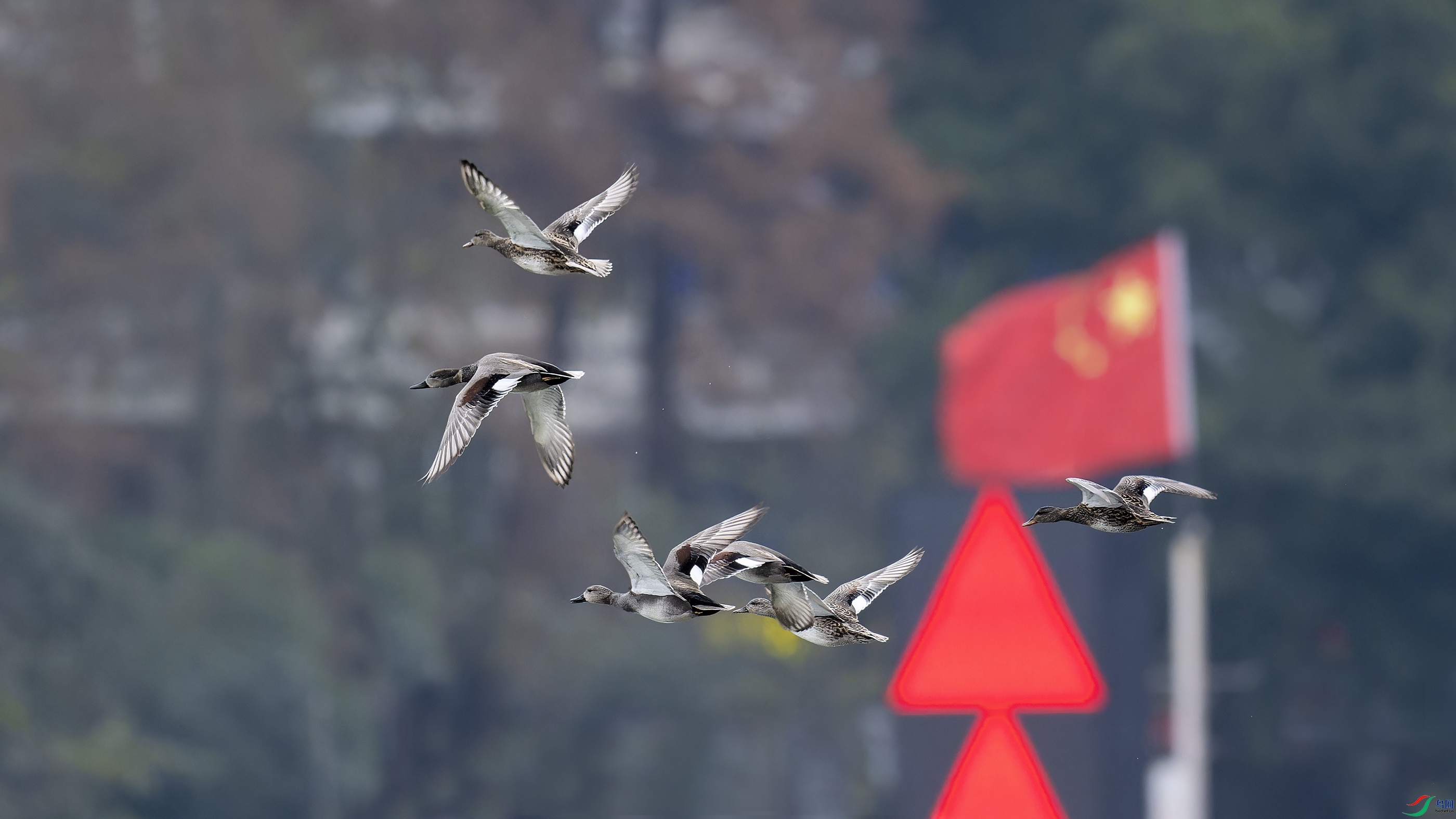 DSC_6744_DxO.jpg